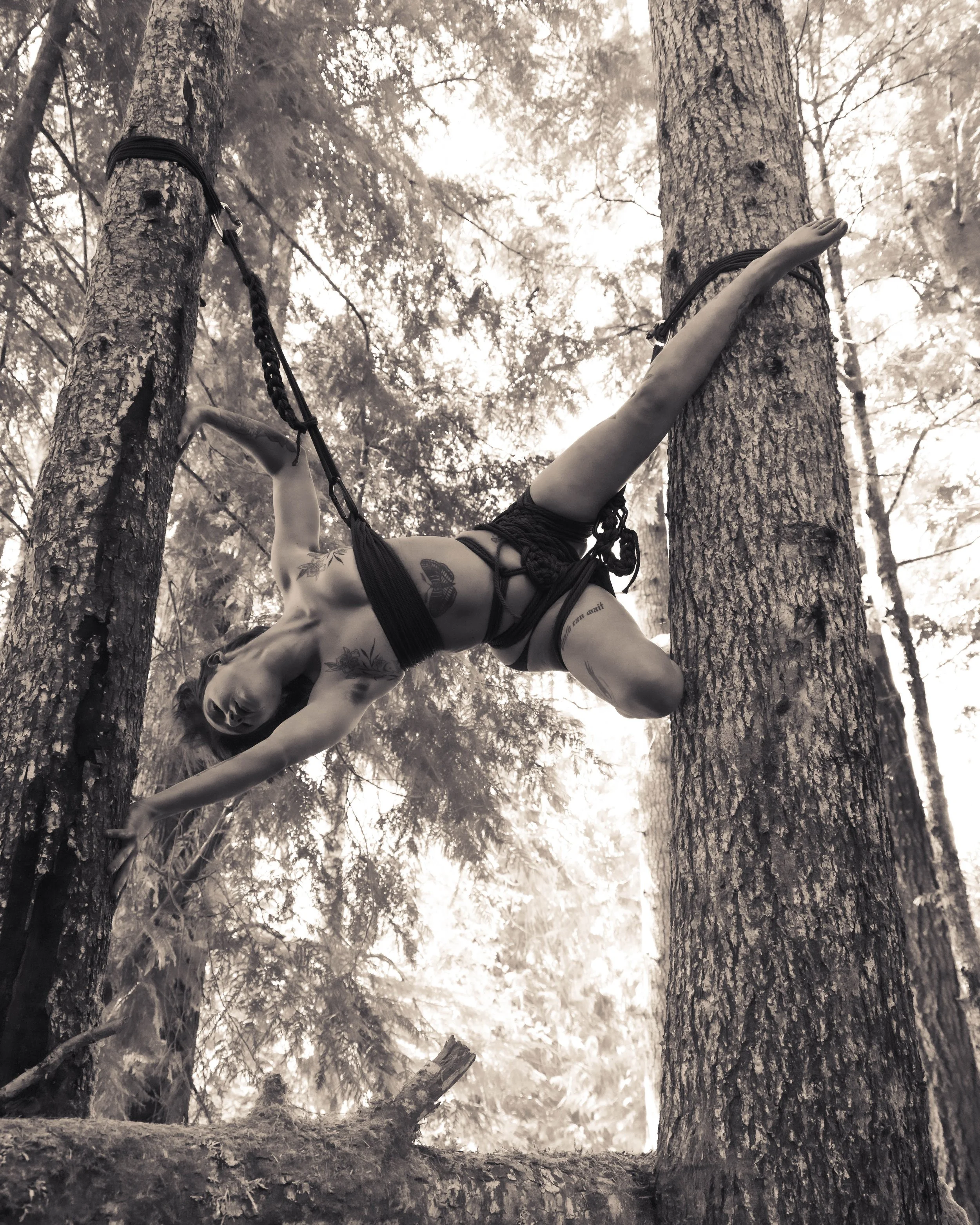 Jade in Trees-20.jpg