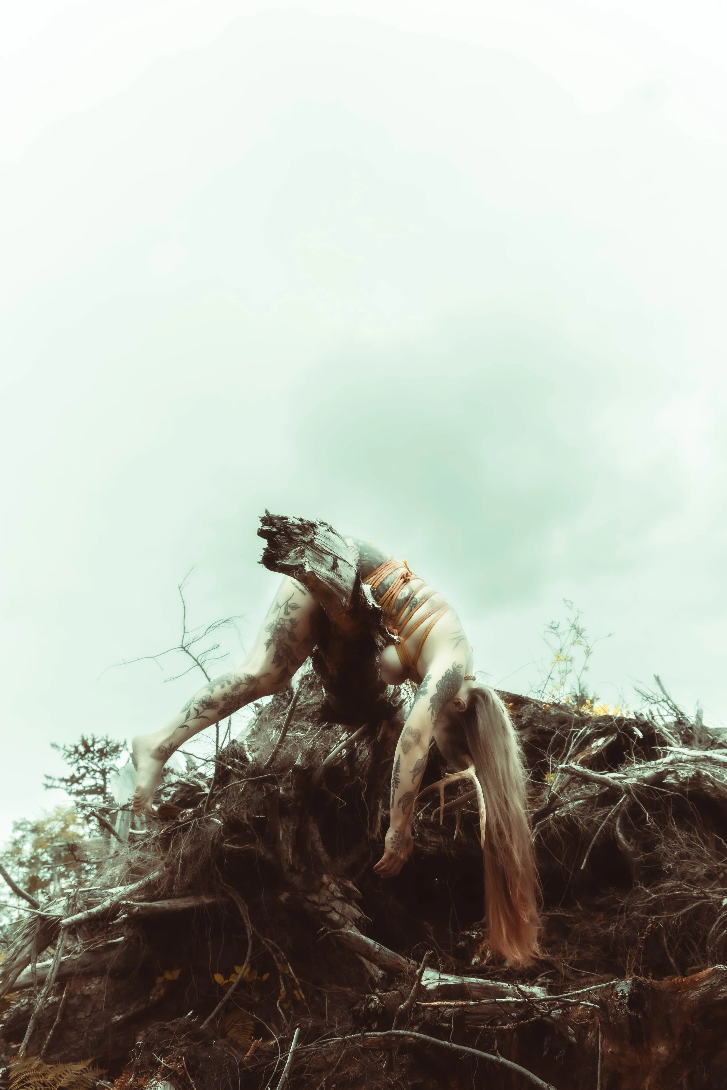 Kiera antlers-21.jpg