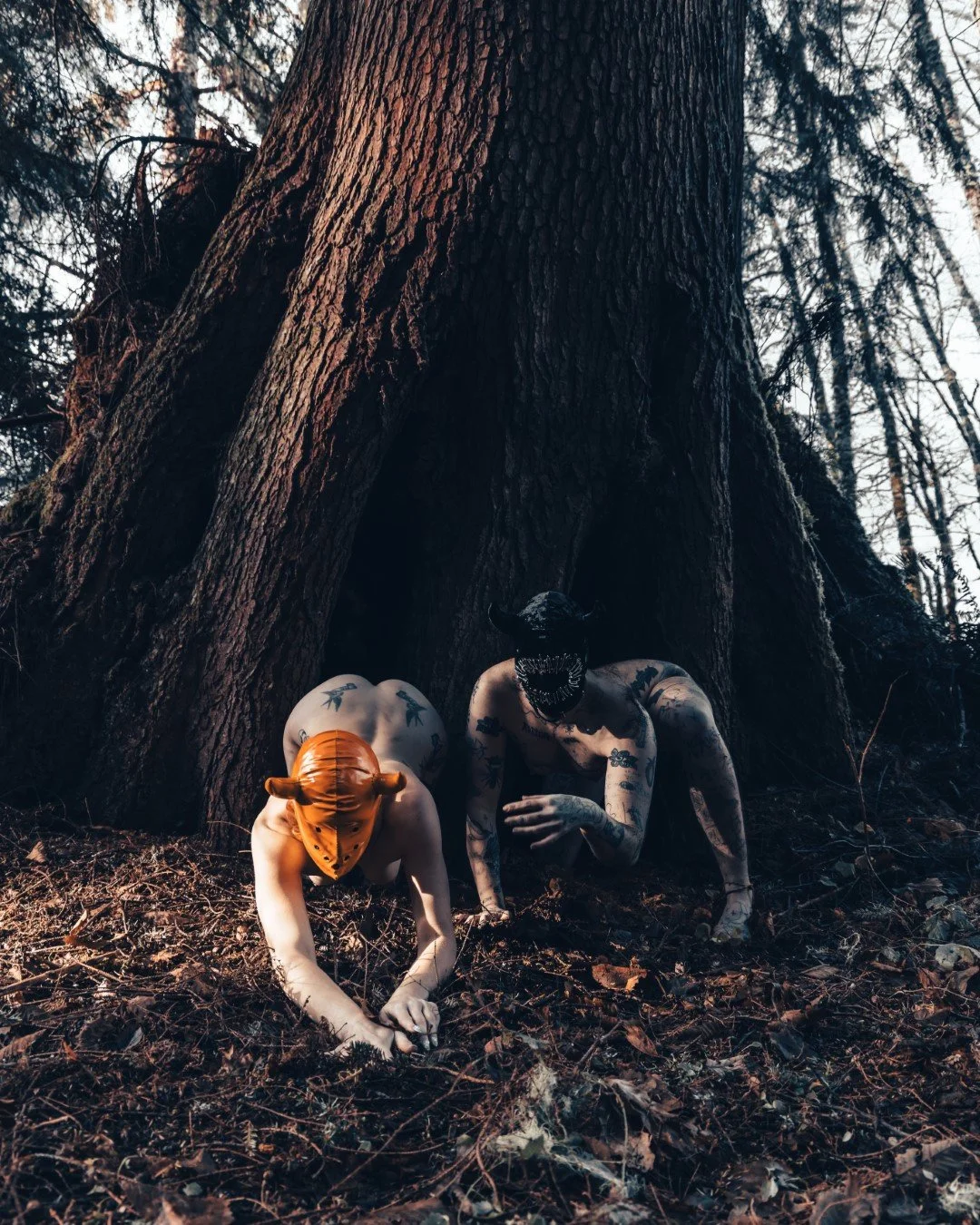 devil tree-24 (Large).JPG