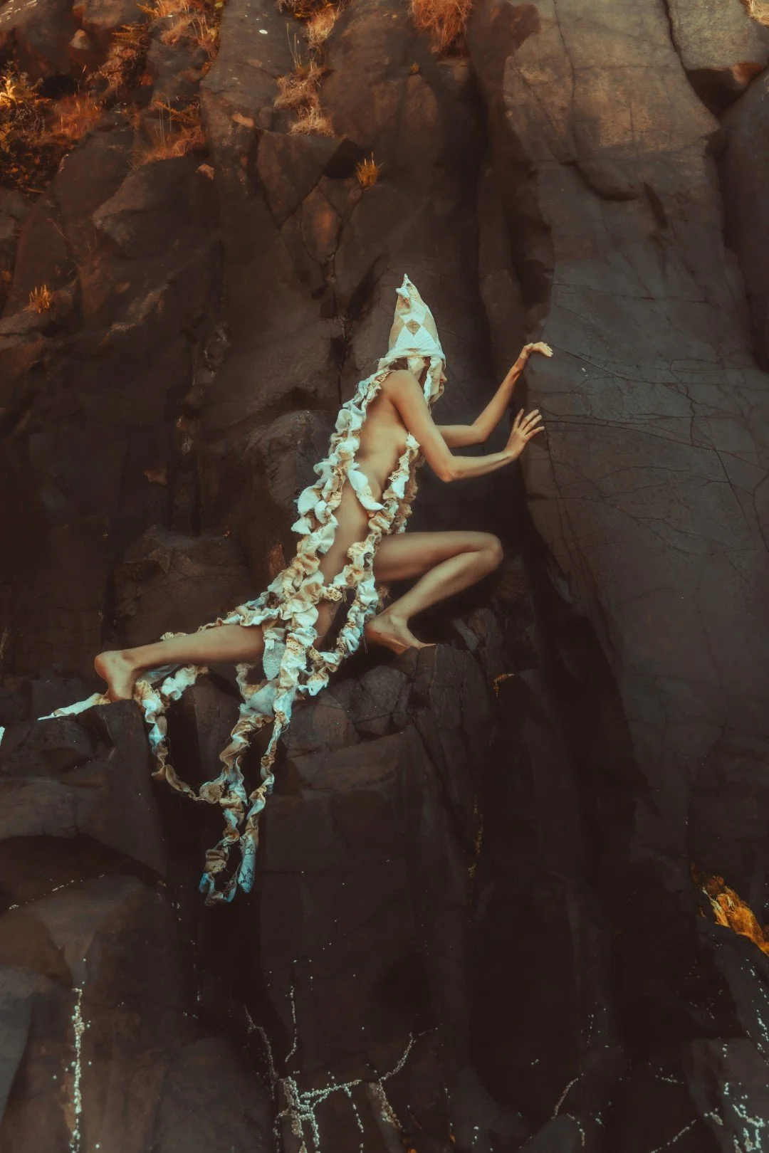 Squid beach-76 (Large).JPG