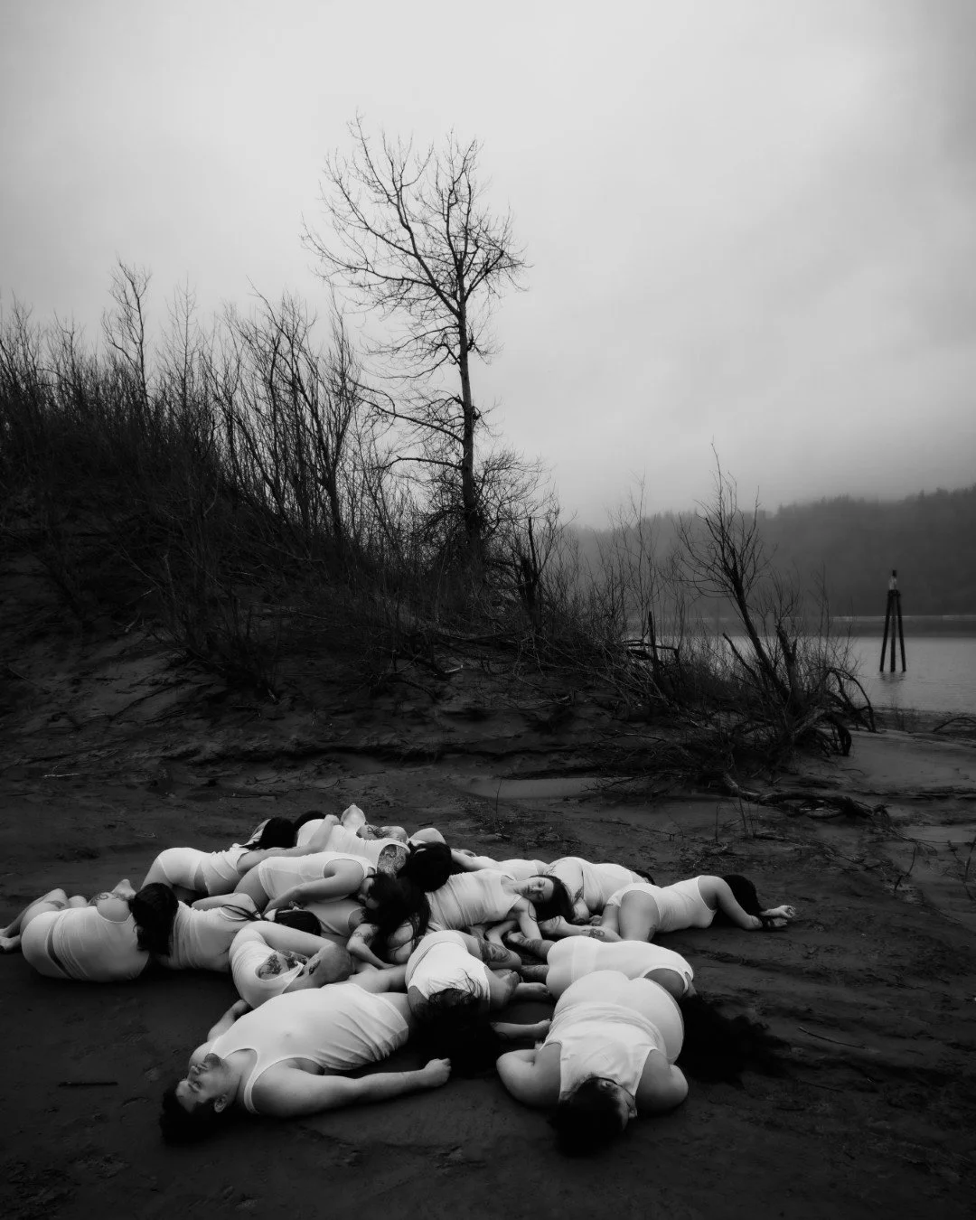 The Discarded-13 (Large).JPG