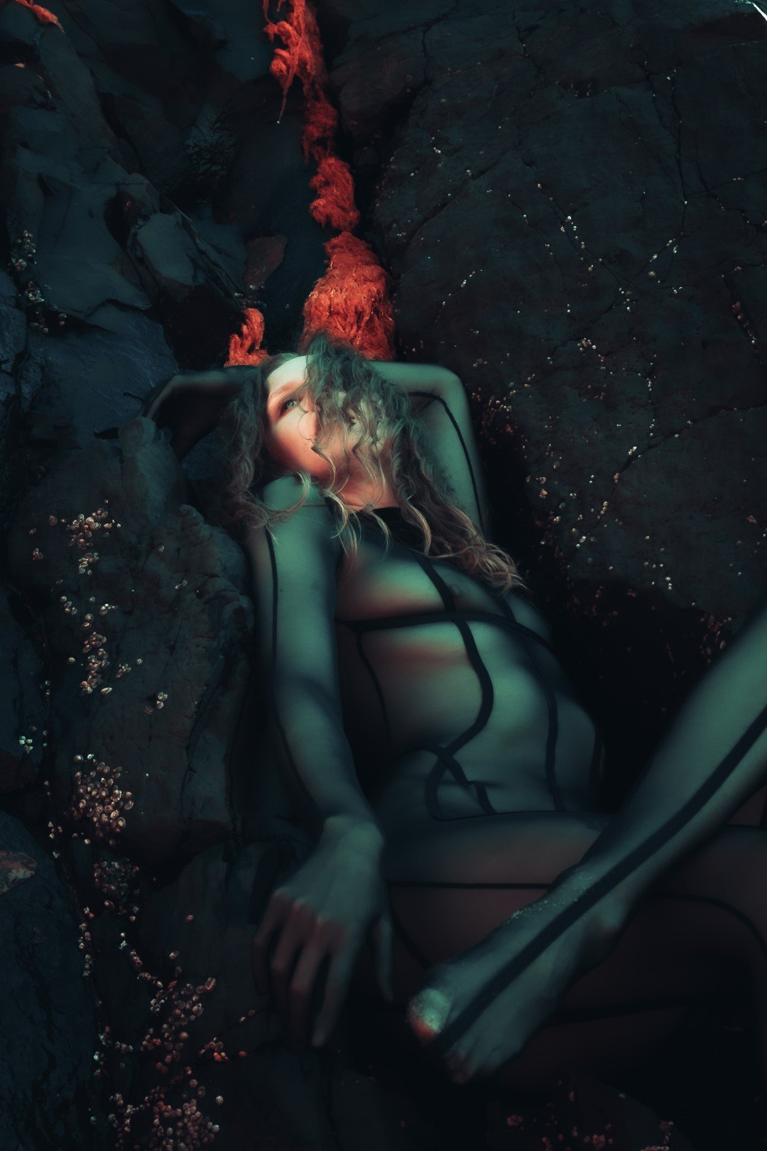 Squid beach-55 (Large).JPG