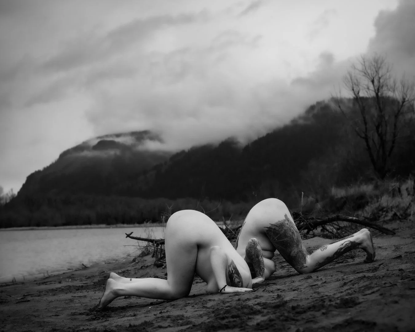 Rooster rock-79 (Large).JPG