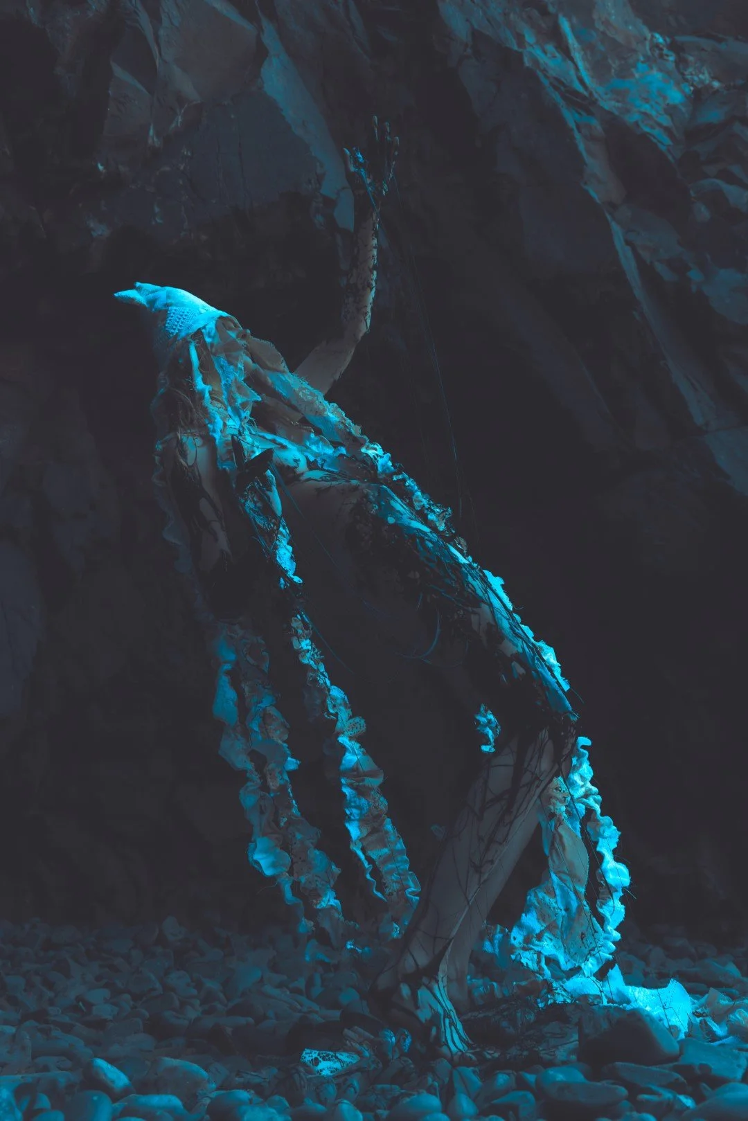 Squid beach-119 (Large).JPG