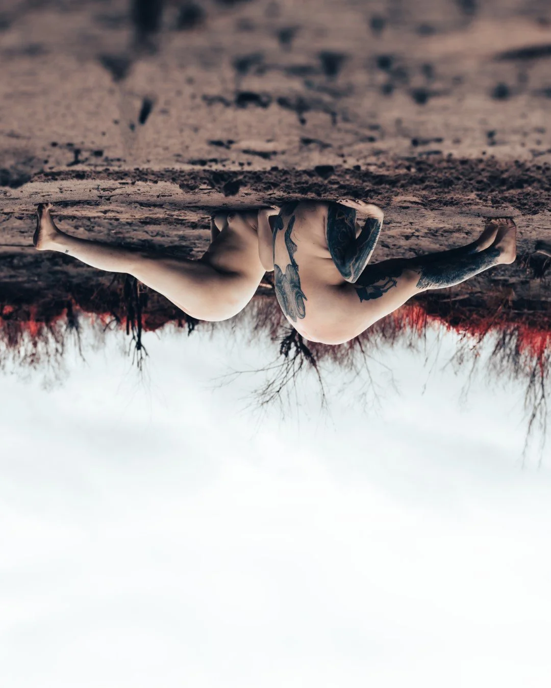 Rooster rock-87 (Large).JPG