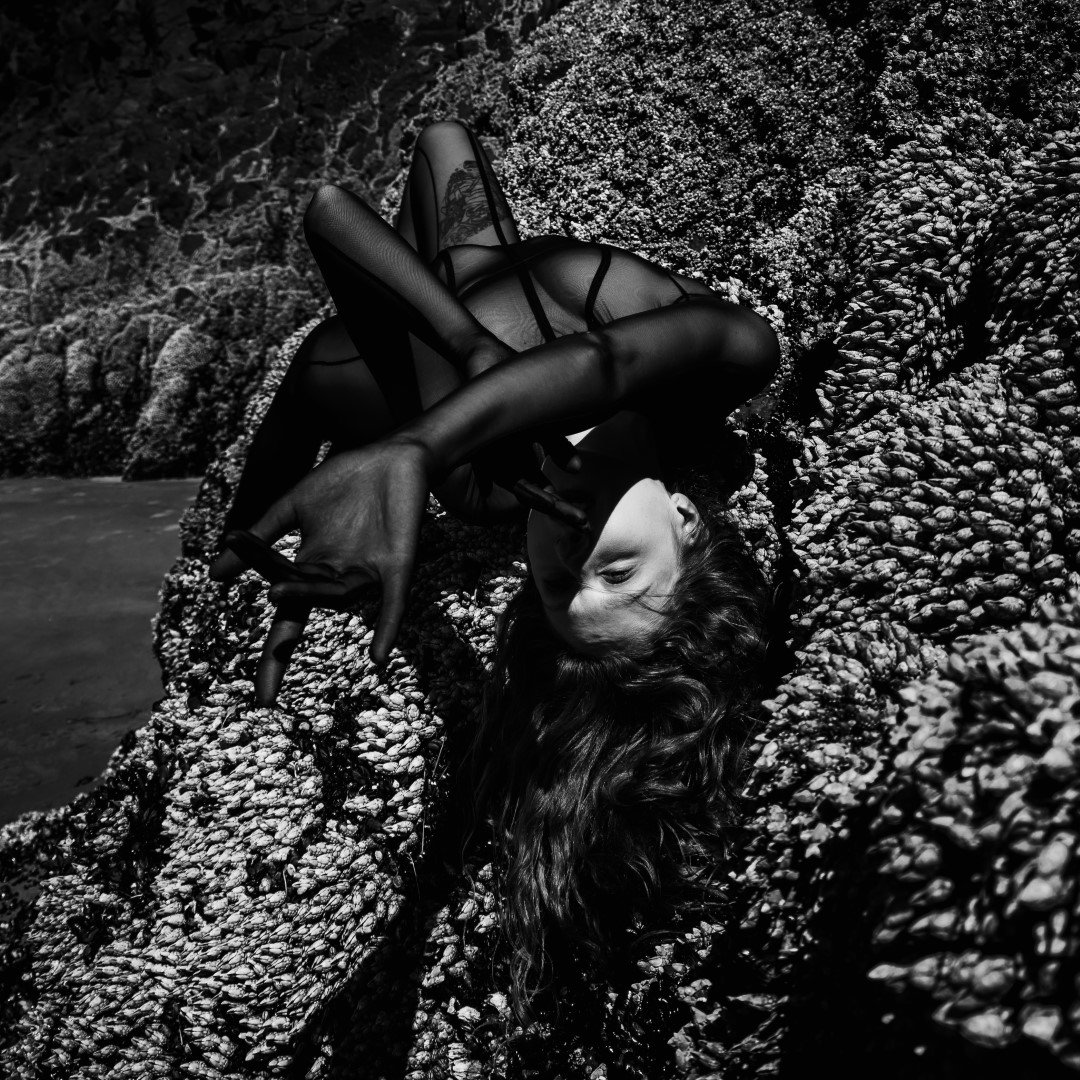 Squid beach-39 (Large).JPG