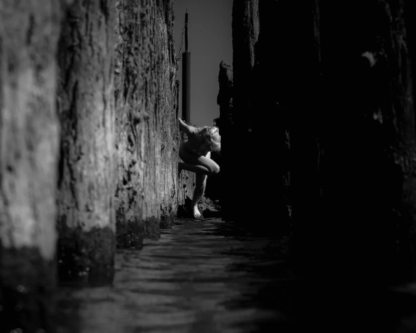 sauvie island experiment day-30 (Large).JPG