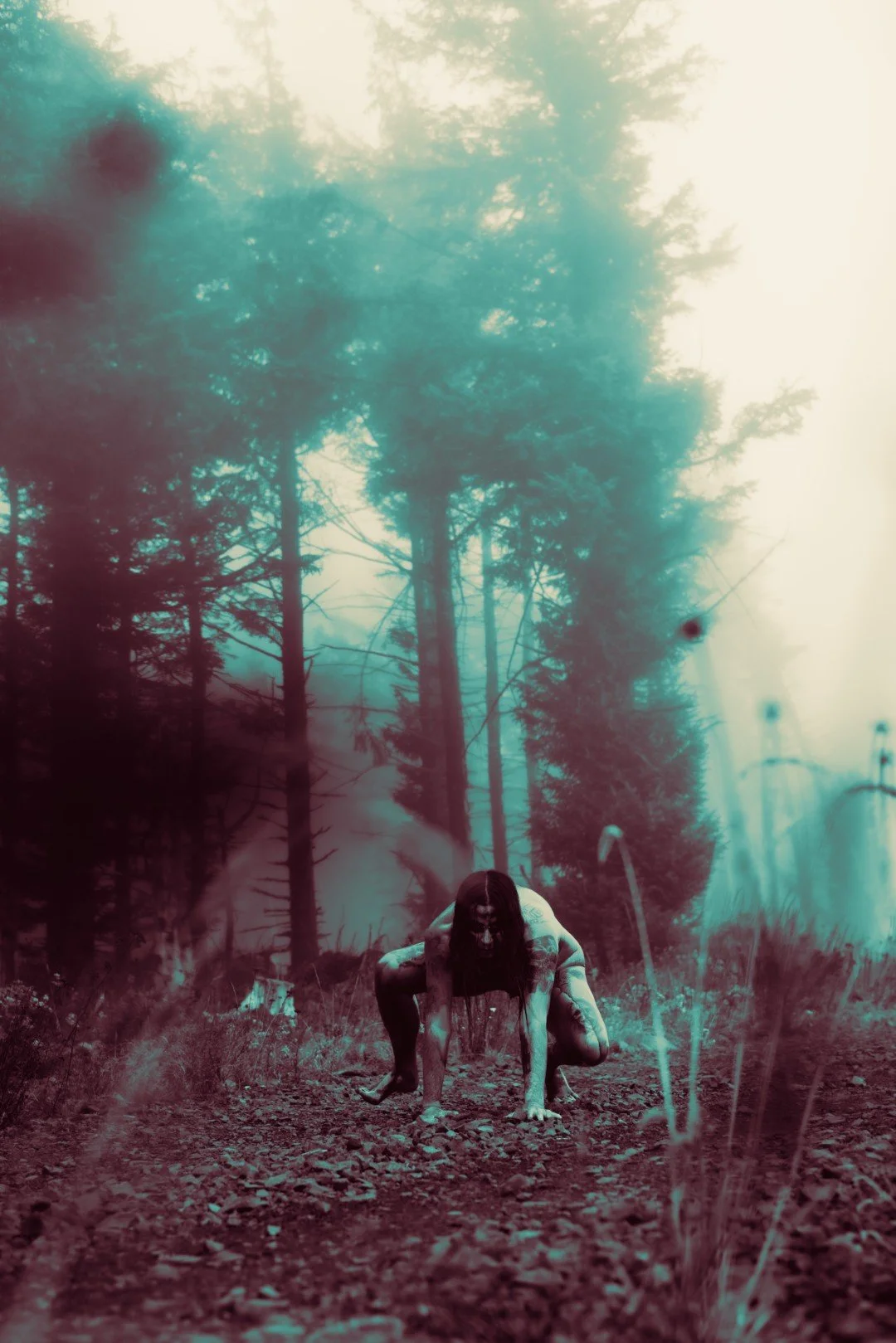 Zander wasp -30 (Large).JPG