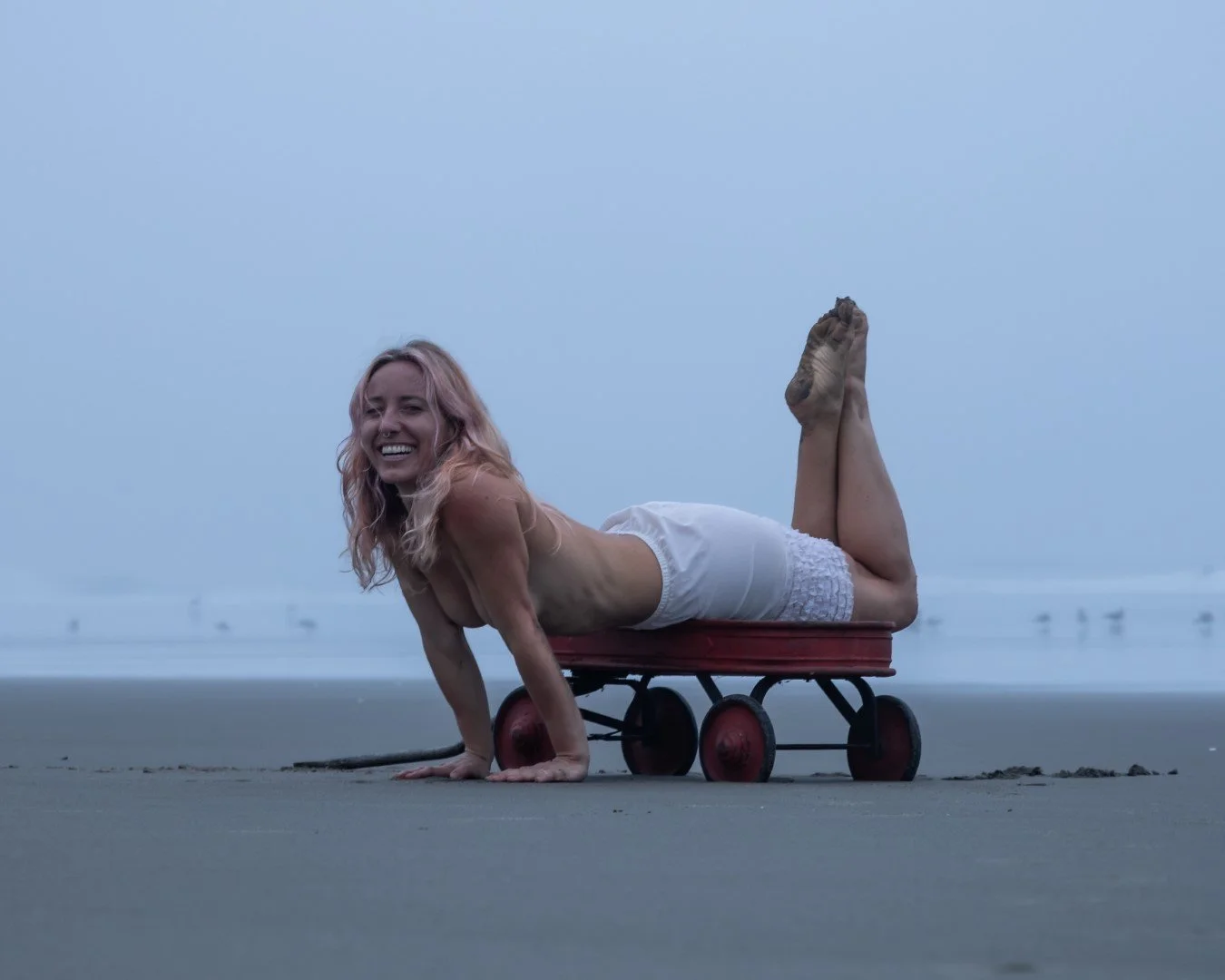 wagon-30 (Large).JPG