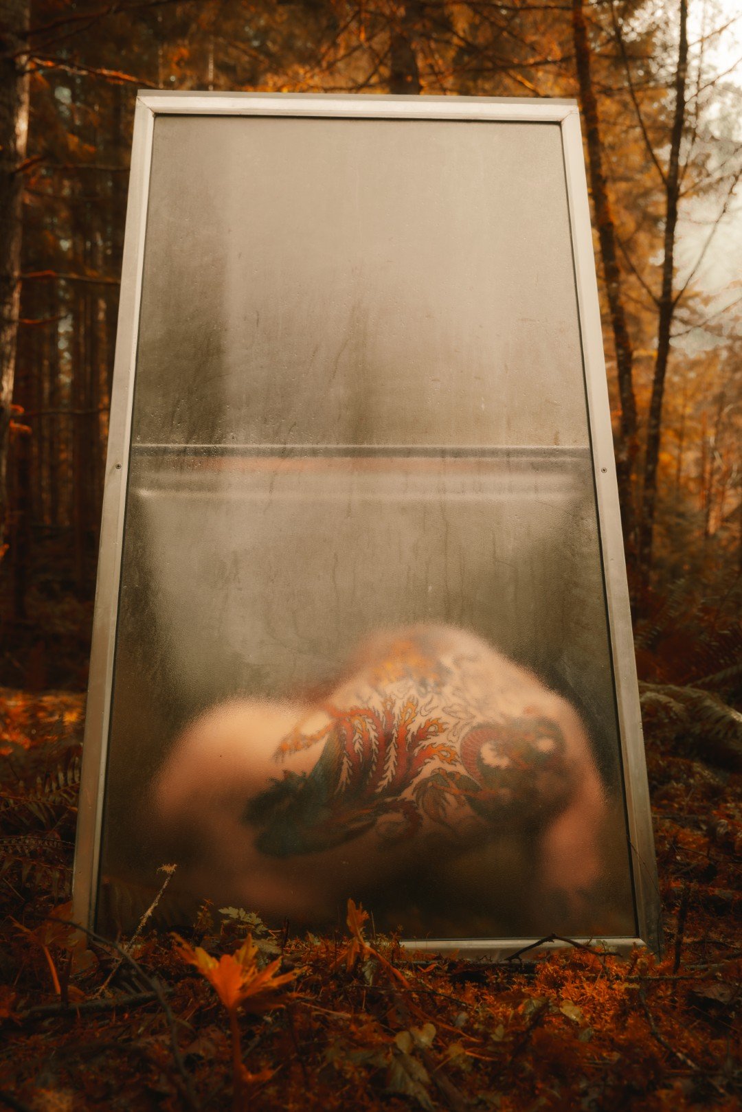 Forest Shower-42 (Large).JPG