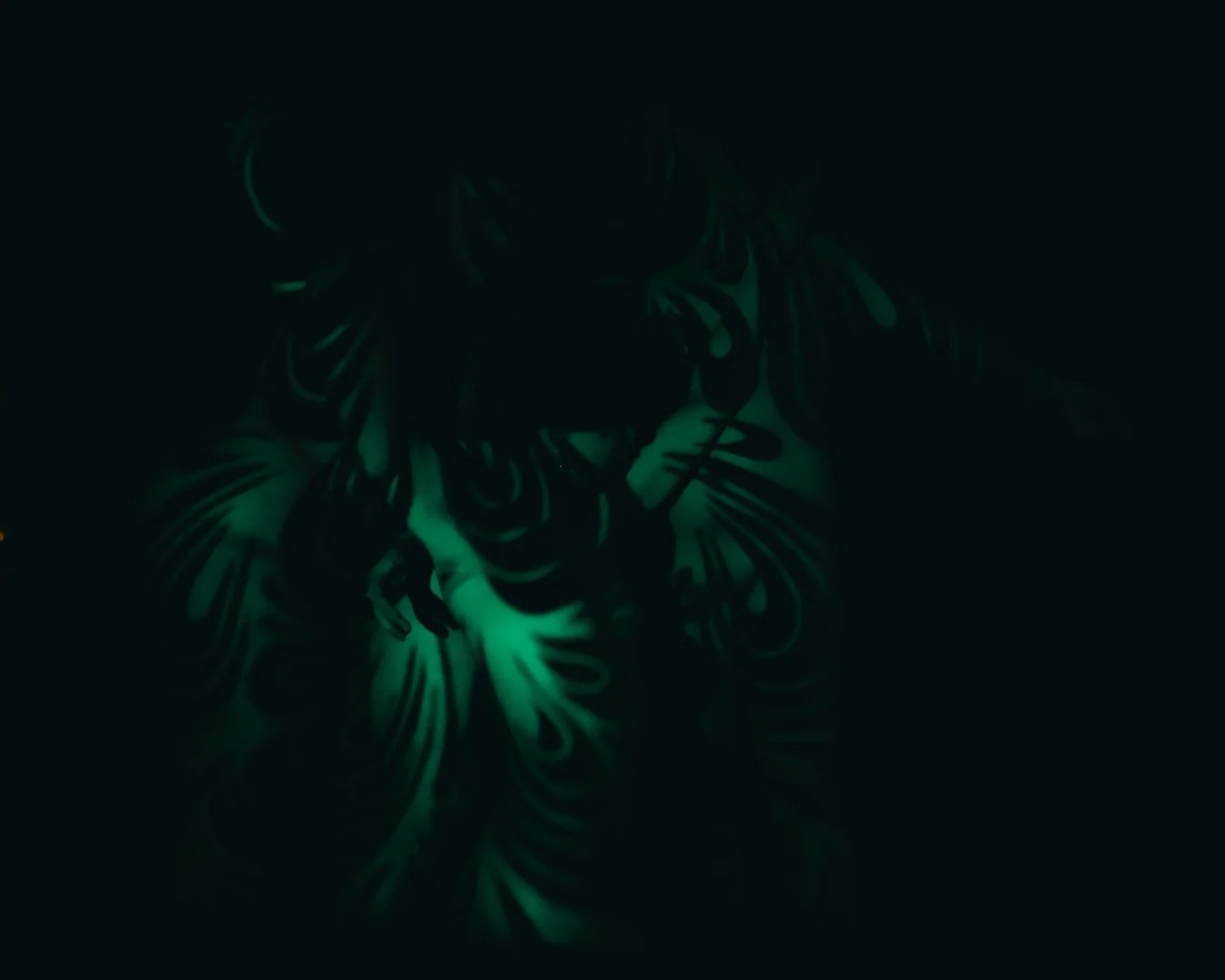 face swap-3 (Large).JPG