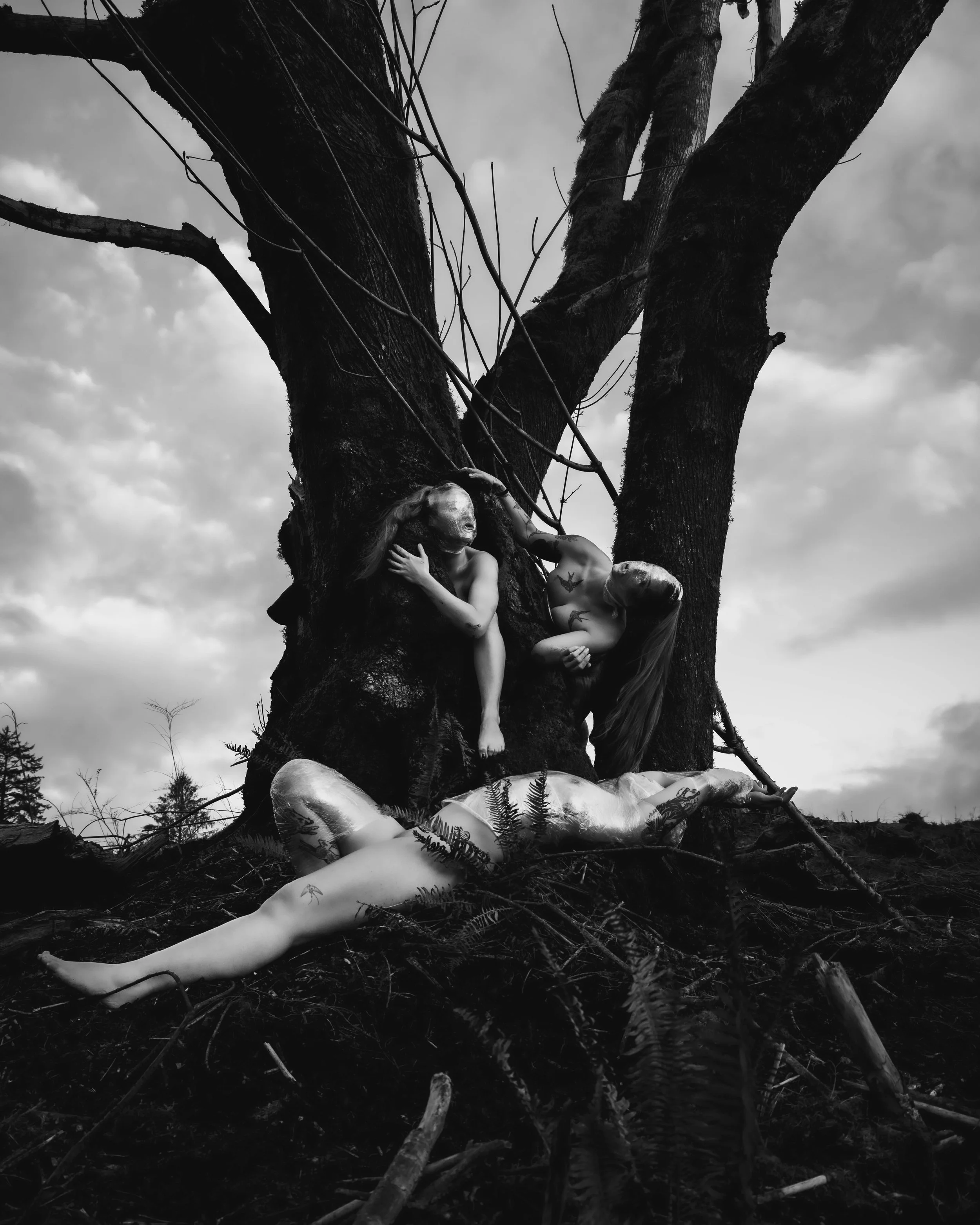 Saran Wrap Tree-1.jpg