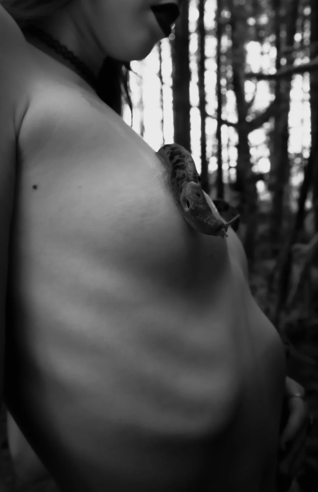 Slug scapes-8 (Large).JPG