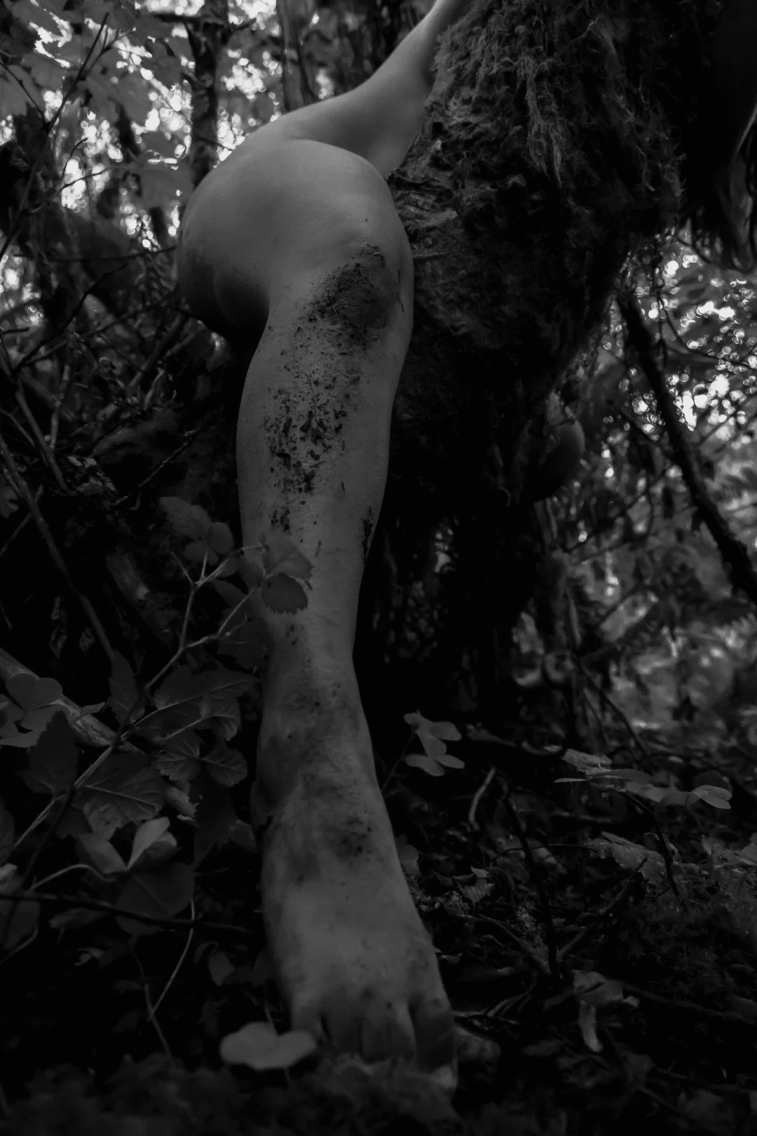 Enduring-75 (Large).JPG