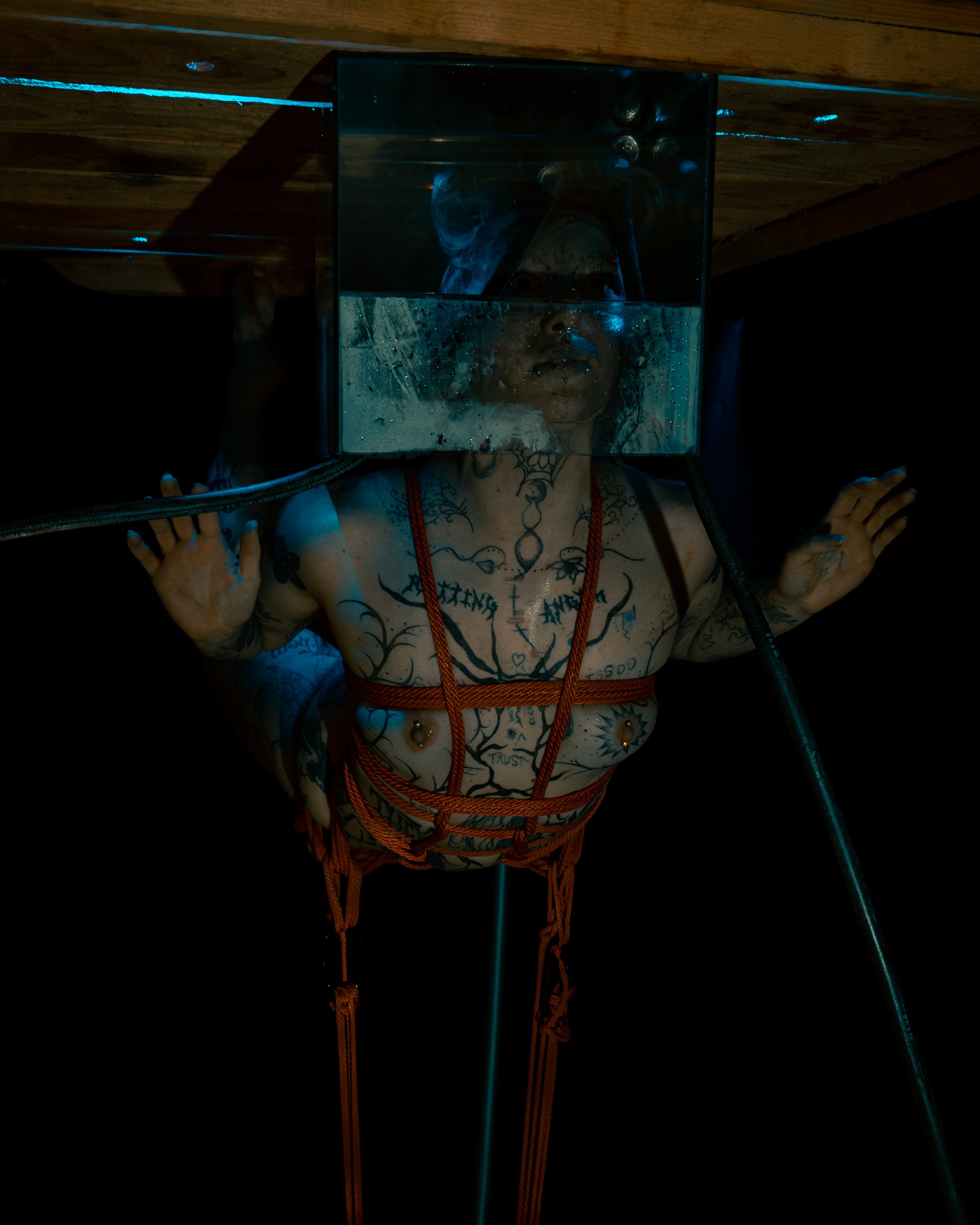 Alice rope and tubes-19.JPG