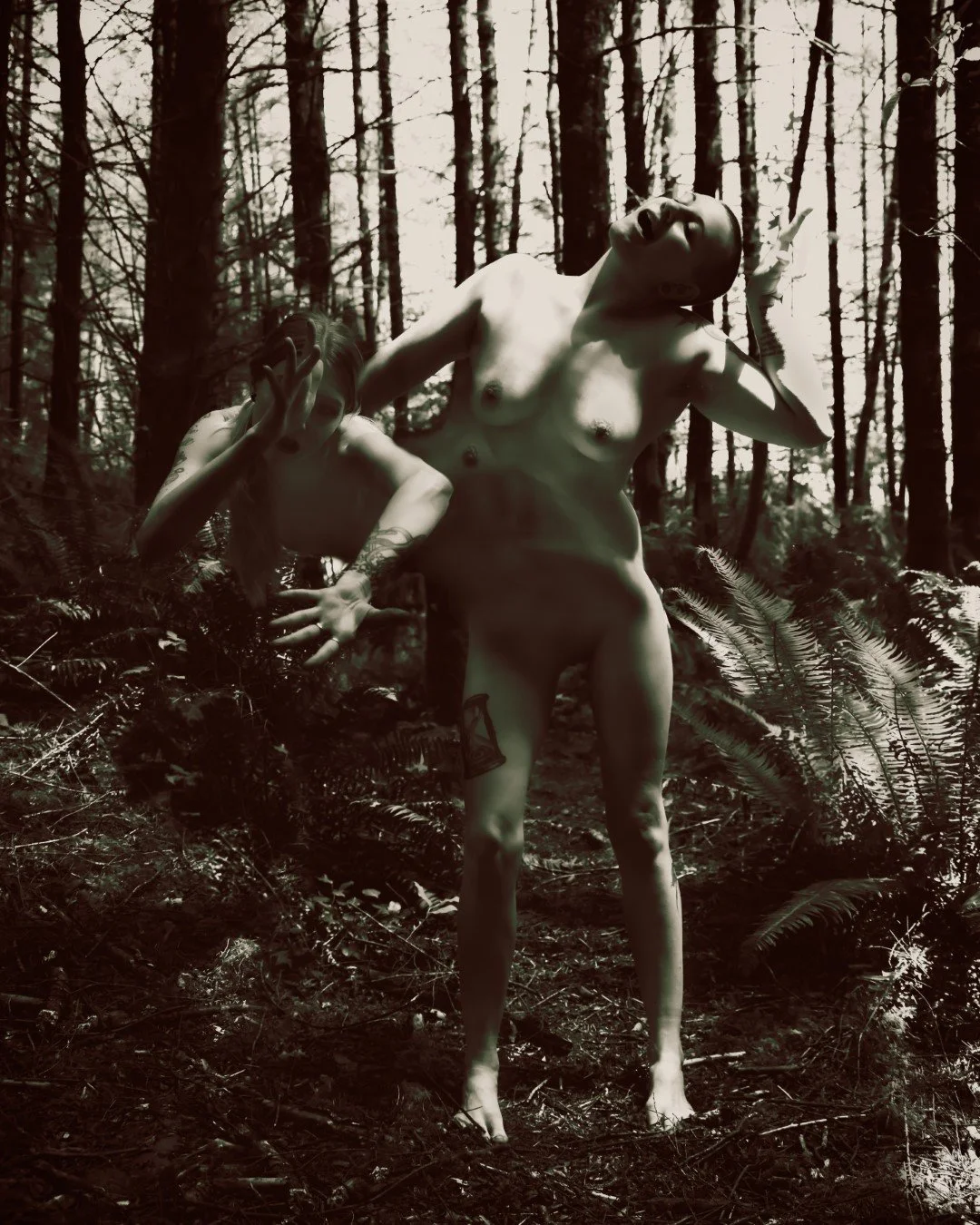 morphed-3 (Large).JPG