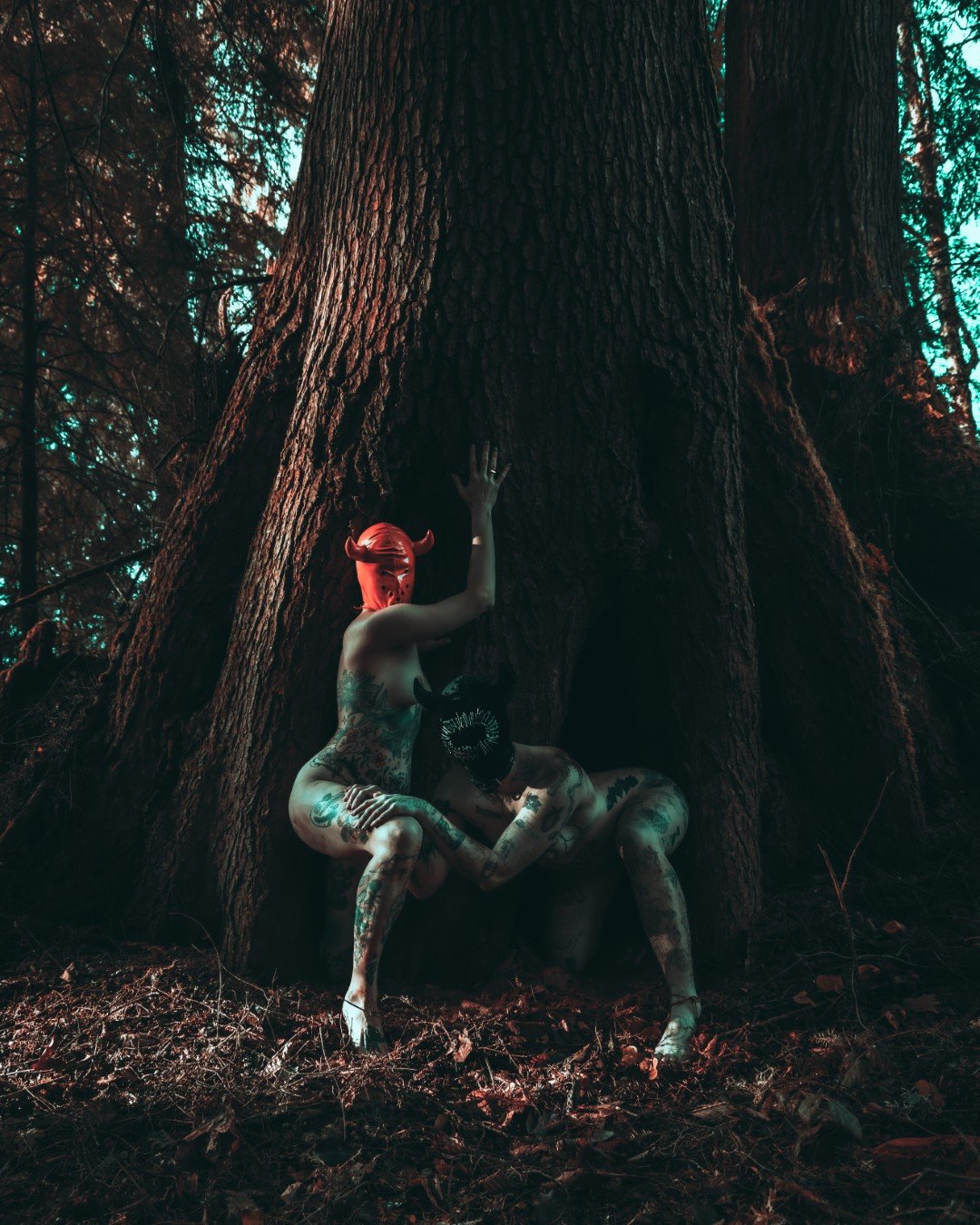 devil tree-23 (Large).JPG