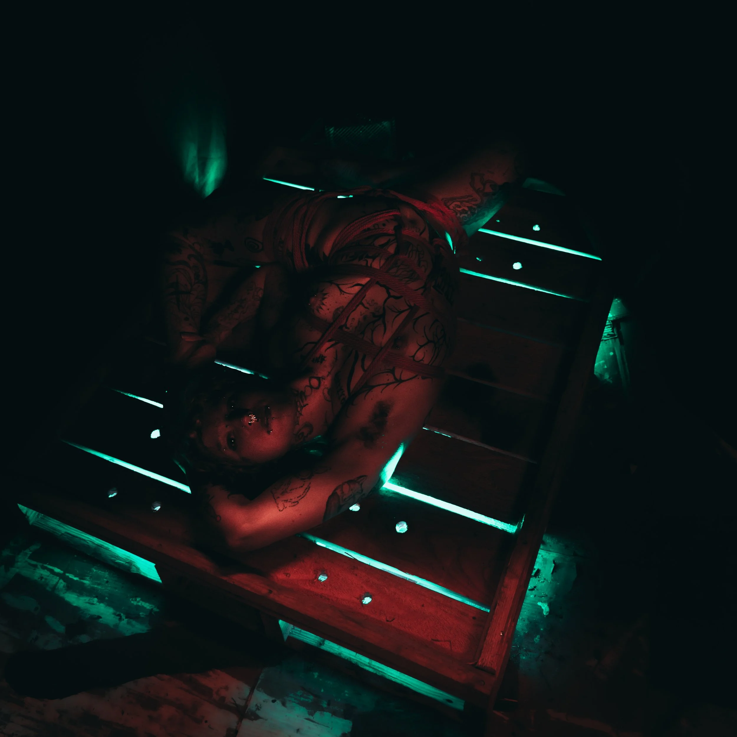 Alice rope and tubes-6.JPG