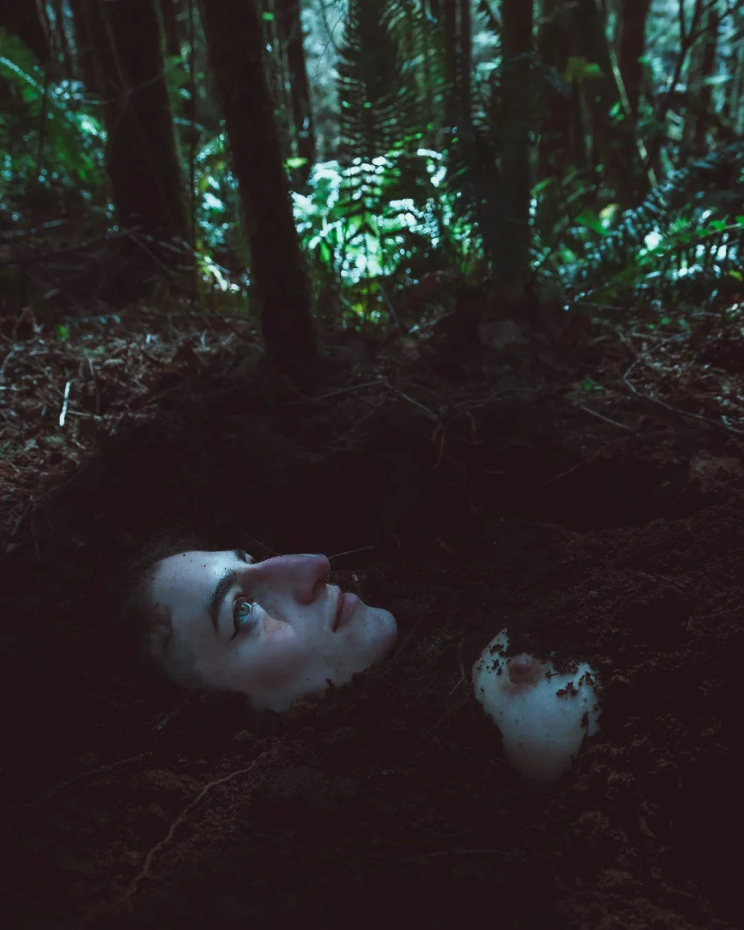 Emergence-30 (Large).JPG