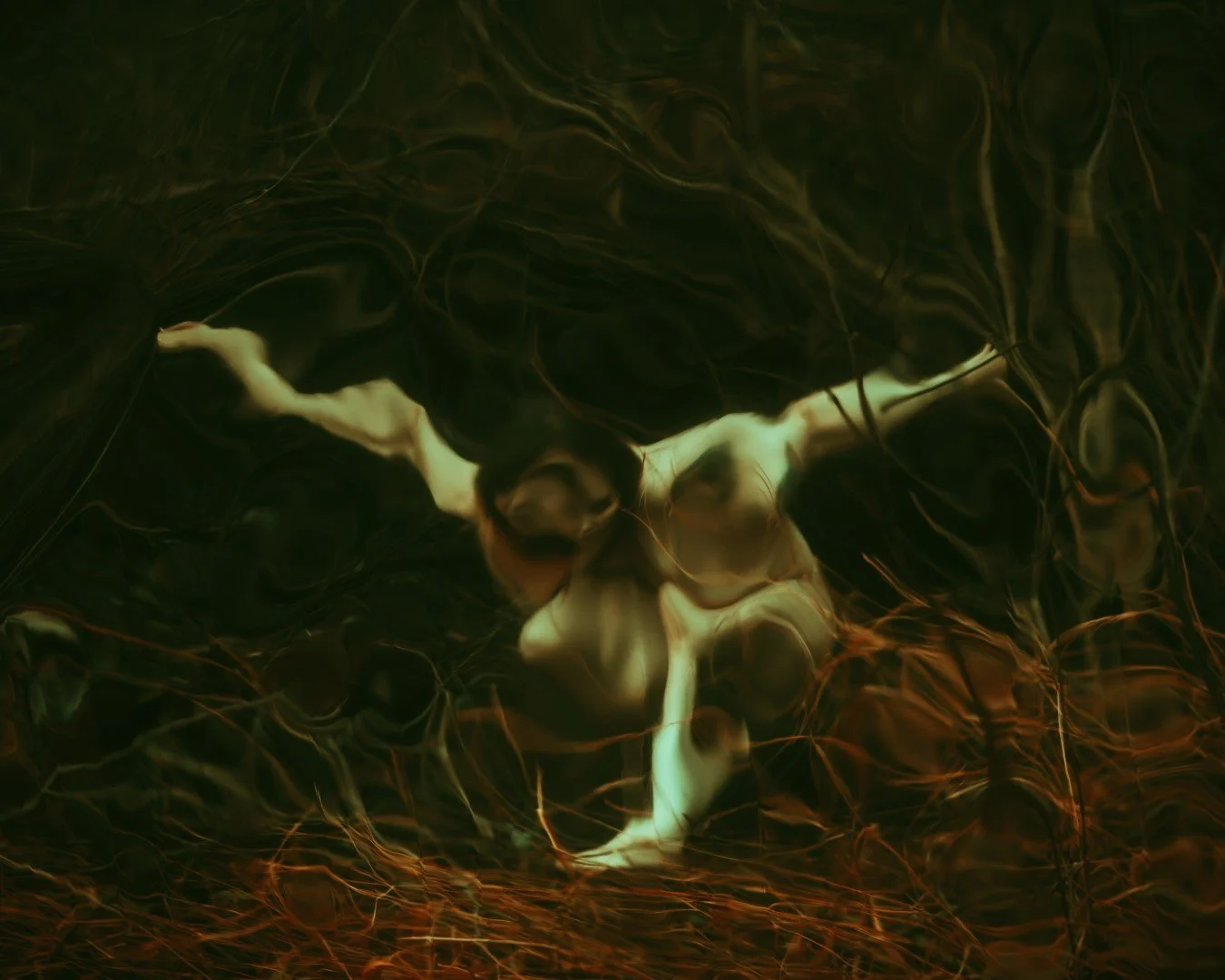 Rooster rock-65 (Large).JPG