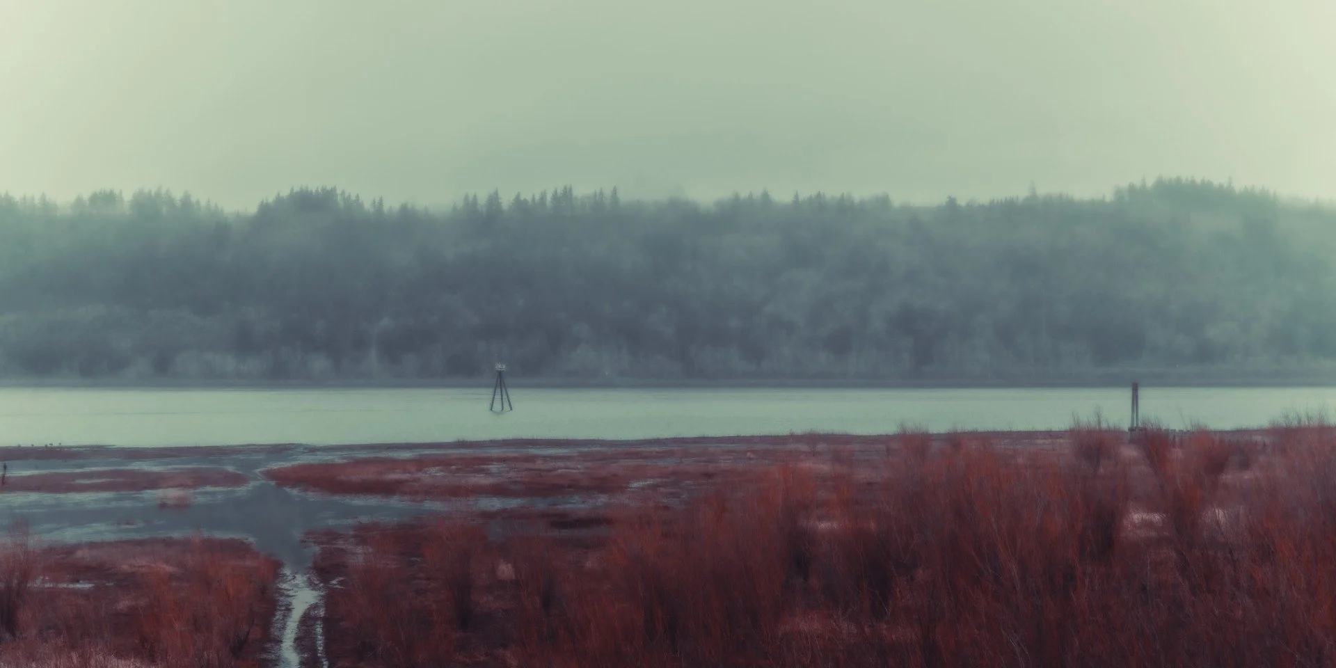 Planted-30 (Large).JPG