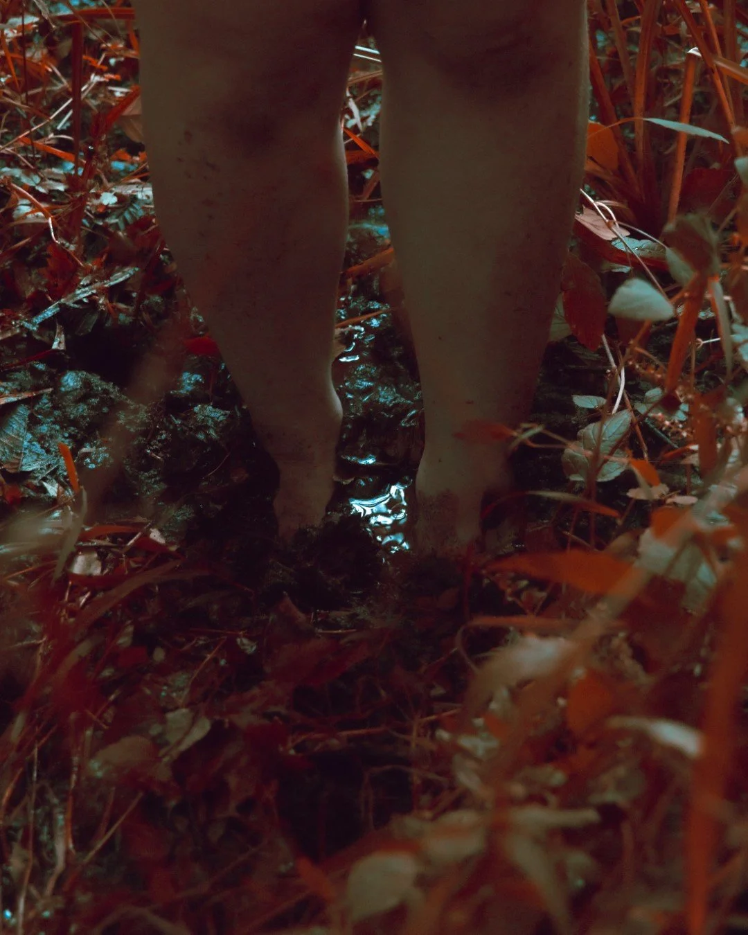 Enduring-40 (Large).JPG