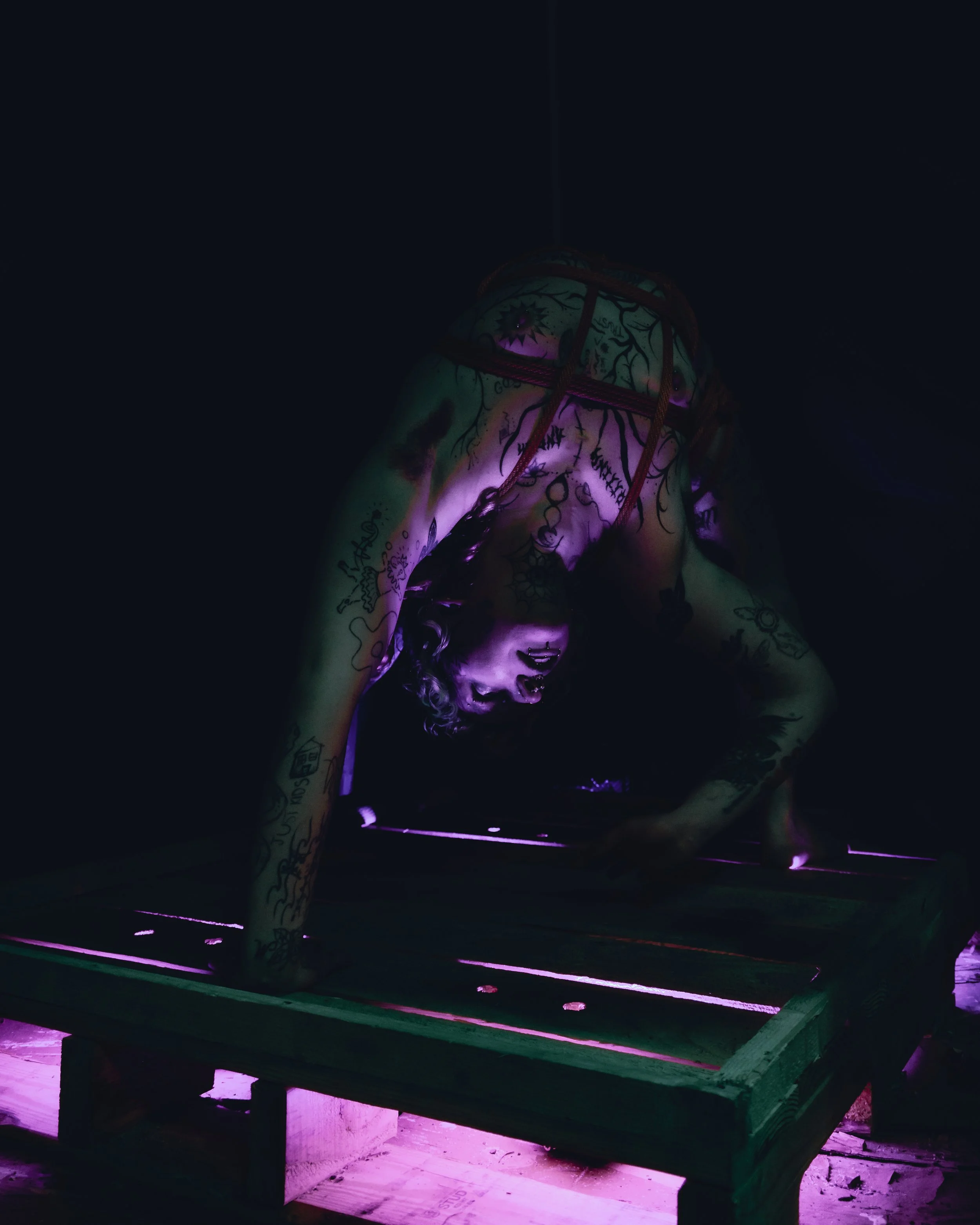 Alice rope and tubes-3.JPG