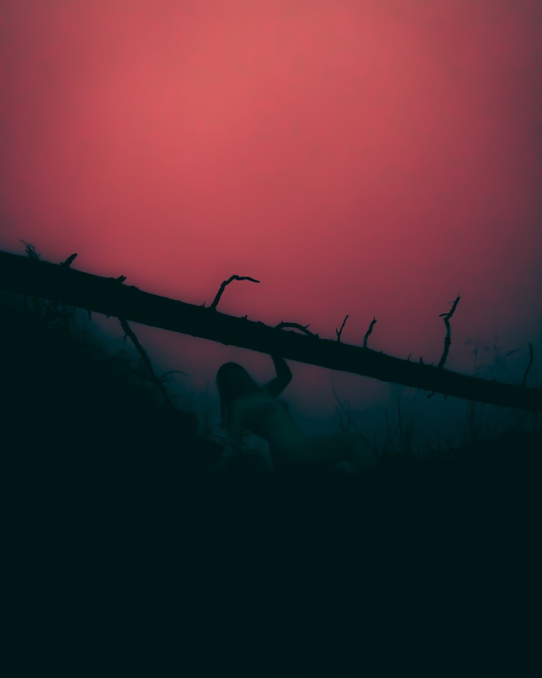 fog-12 (Large).JPG