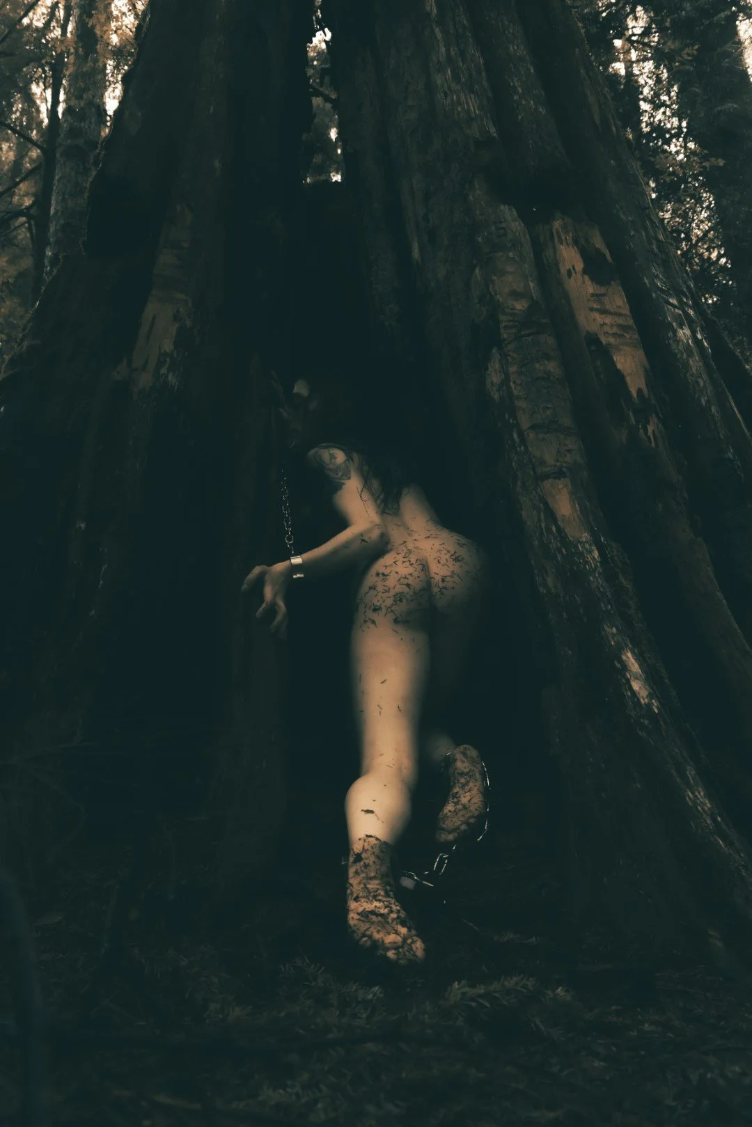 Cyan in chains-45 (Large).JPG