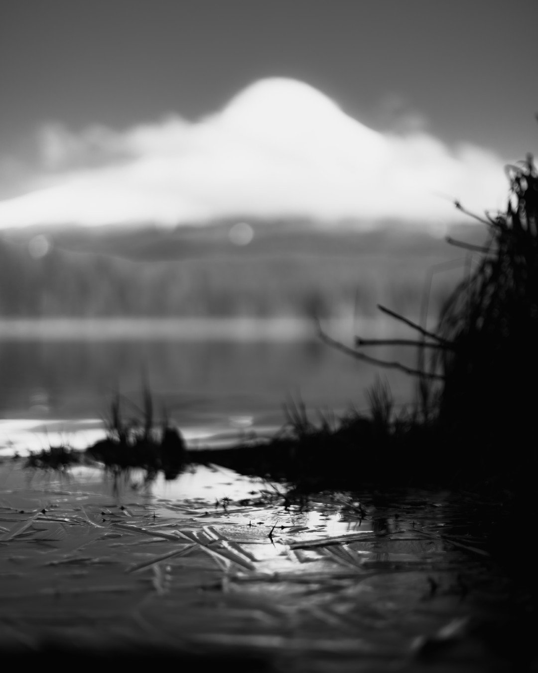 mt hood -28 (Large).JPG