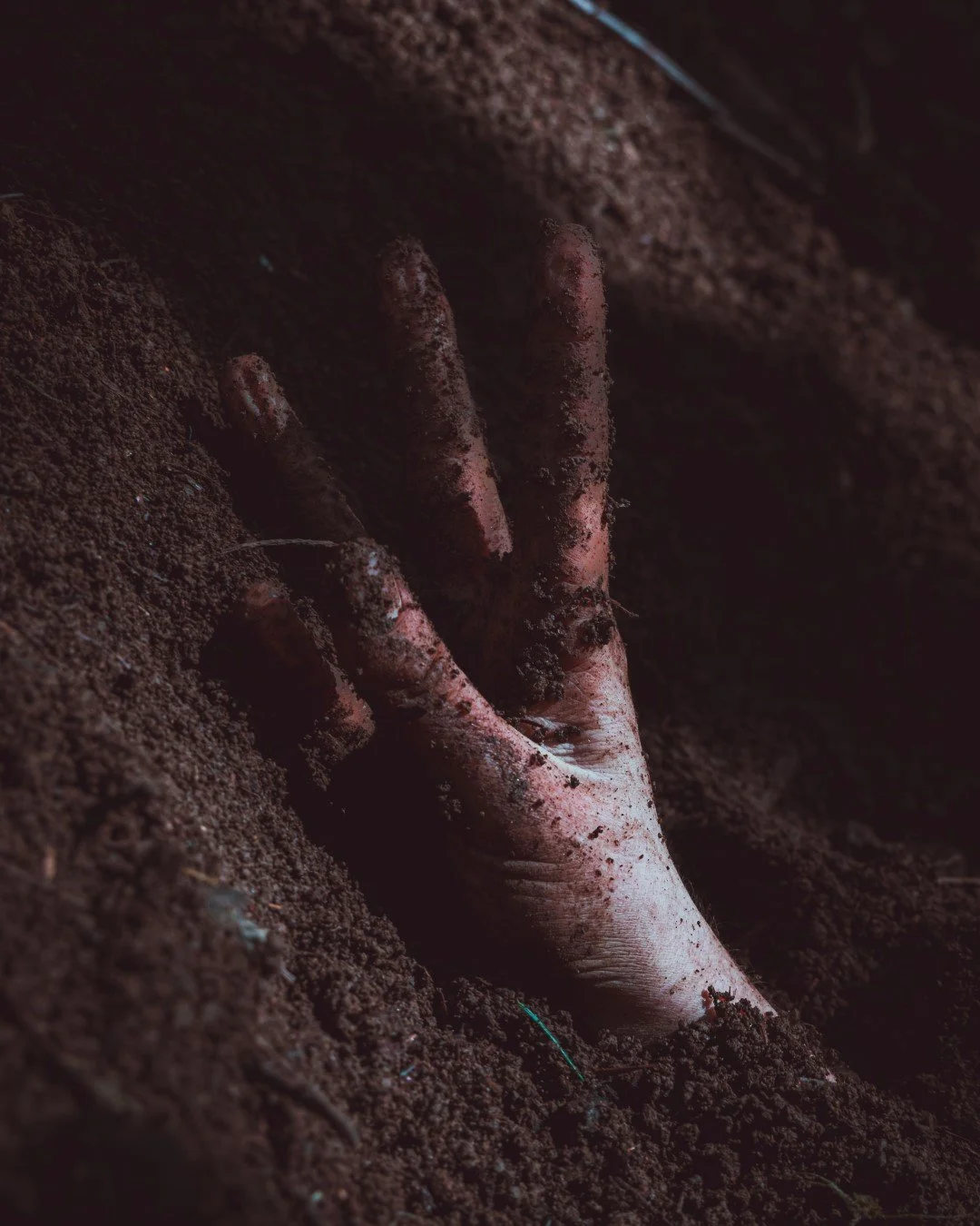 Emergence-34 (Large).JPG