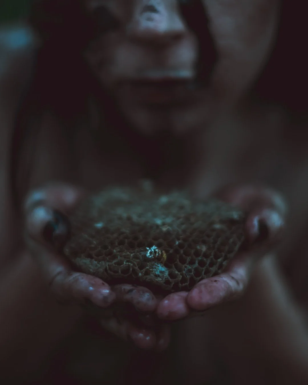 Zander wasp -14 (Large).JPG