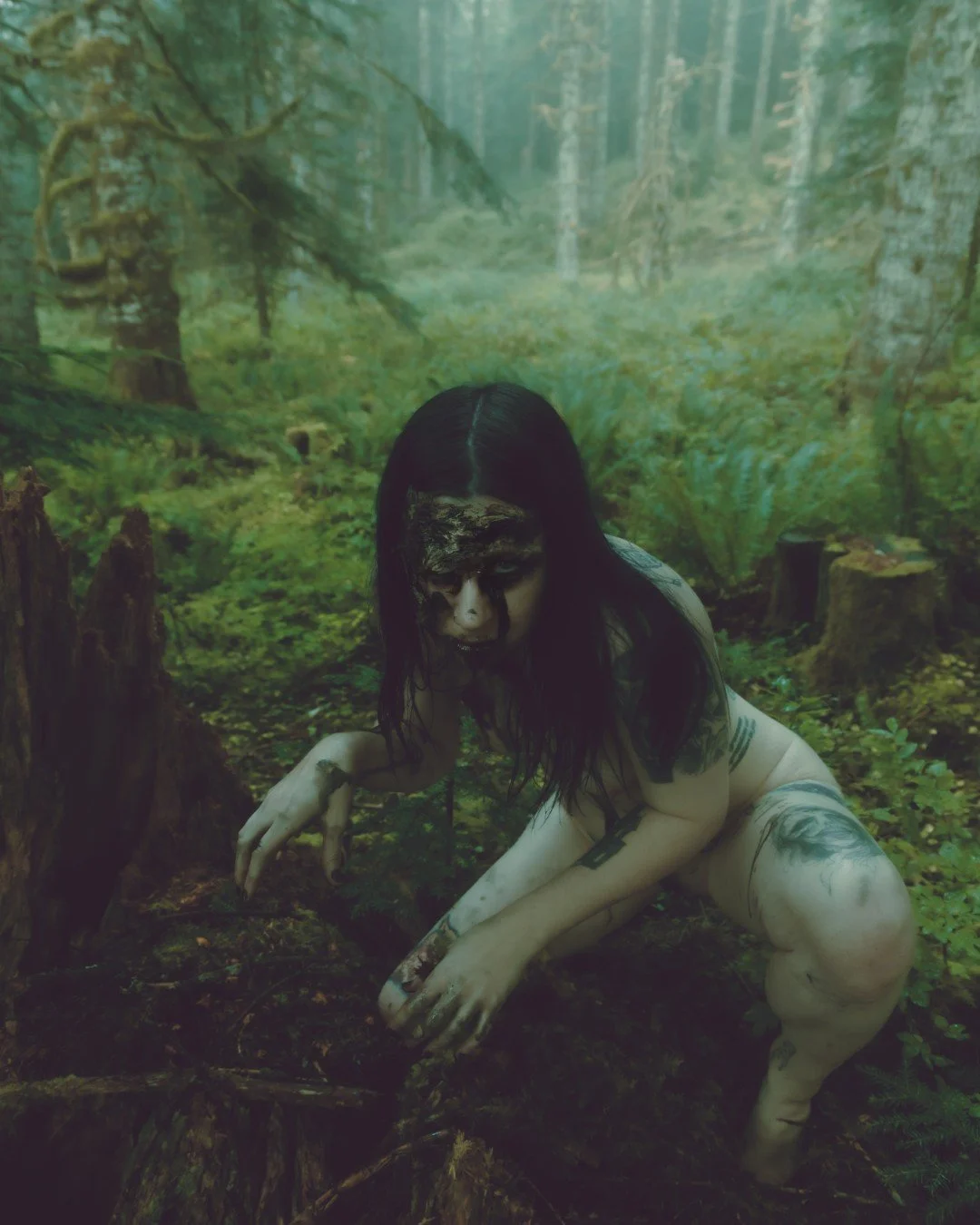 Zander wasp -13 (Large).JPG