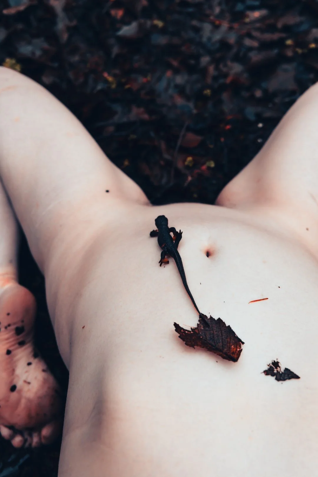 alayna pond-3 (Large).JPG