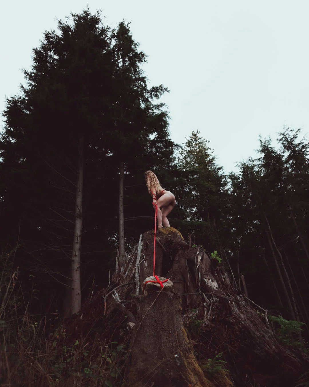 Burdened-4 (Large).JPG