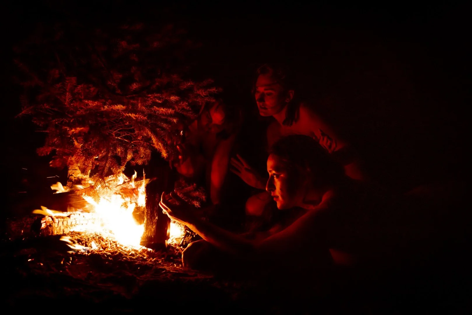 Beach Tree Fire-59 (Large).JPG