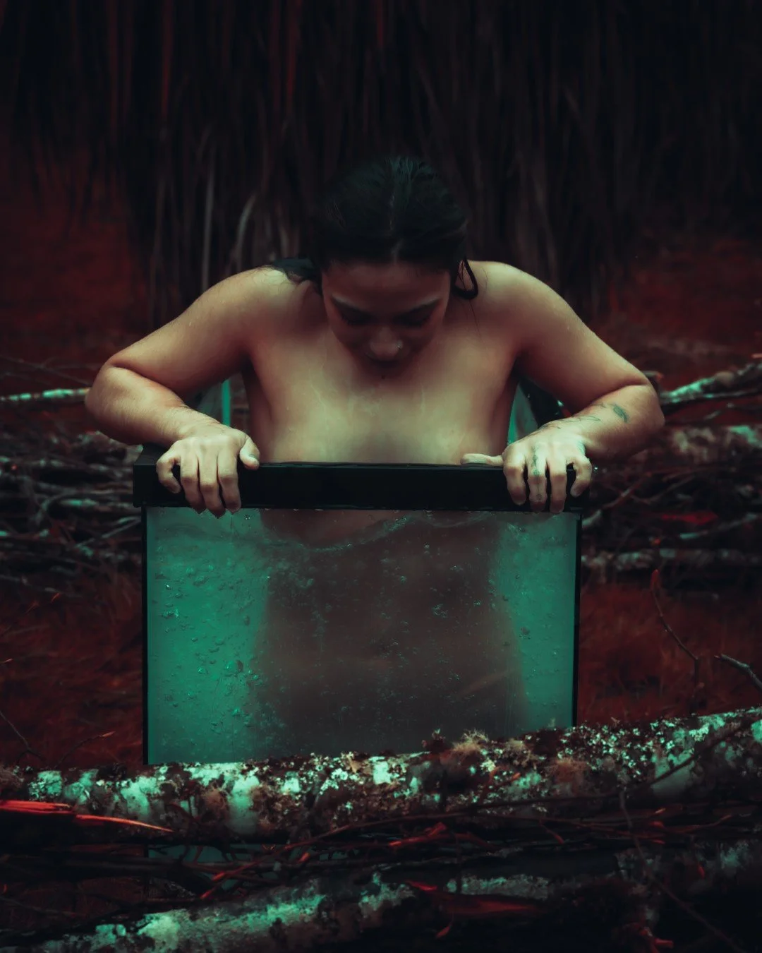 Shy Tank-54 (Large).JPG