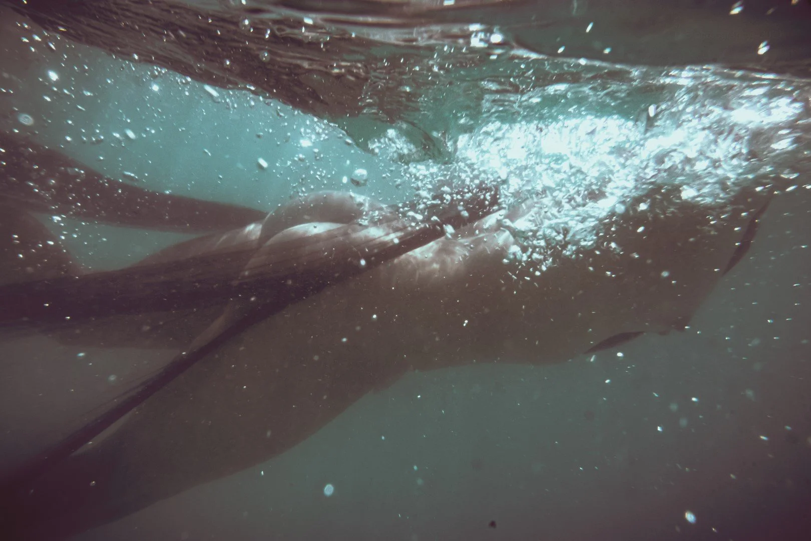 oct 3 pool-77 (Large).JPG