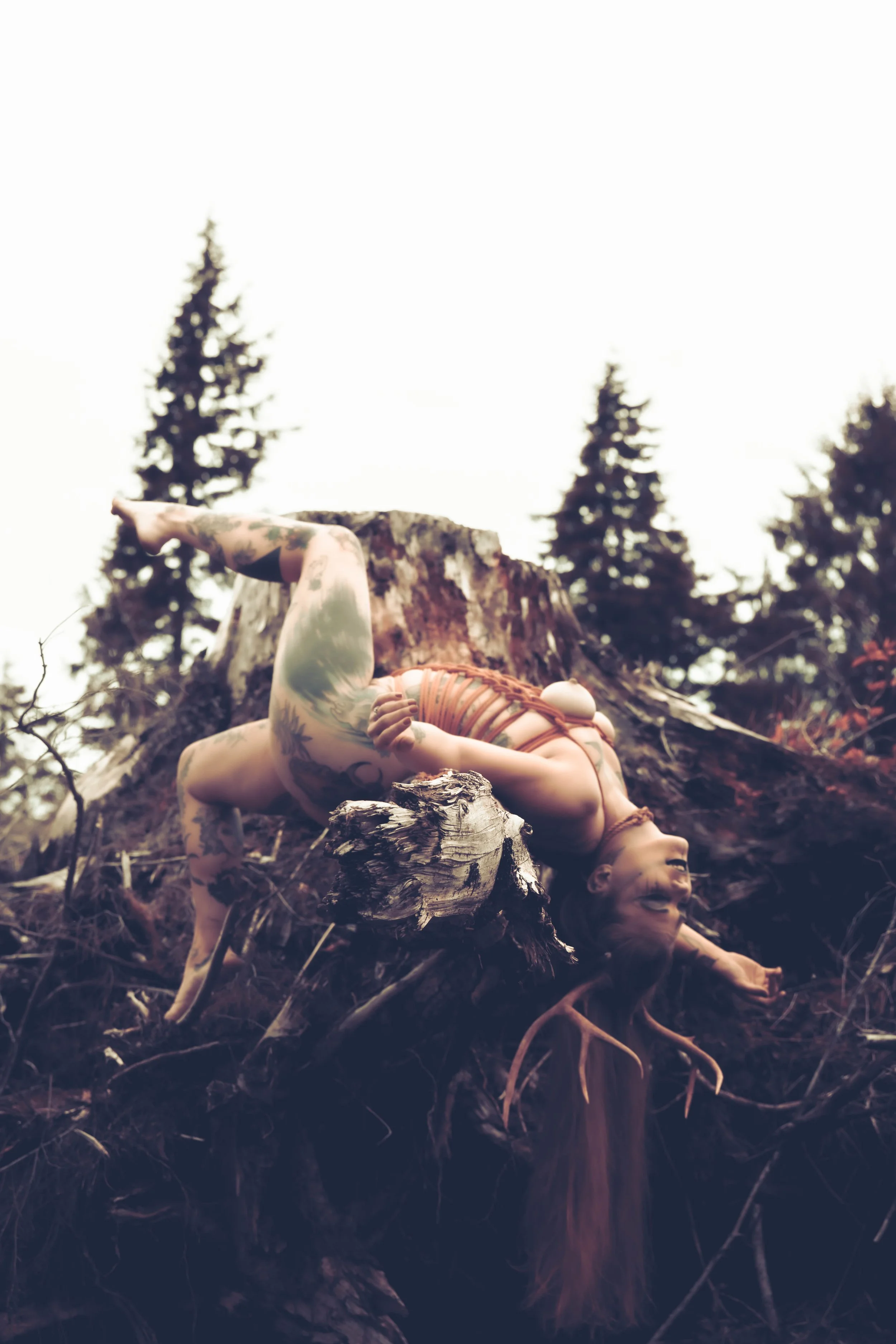 Kiera antlers-38.jpg