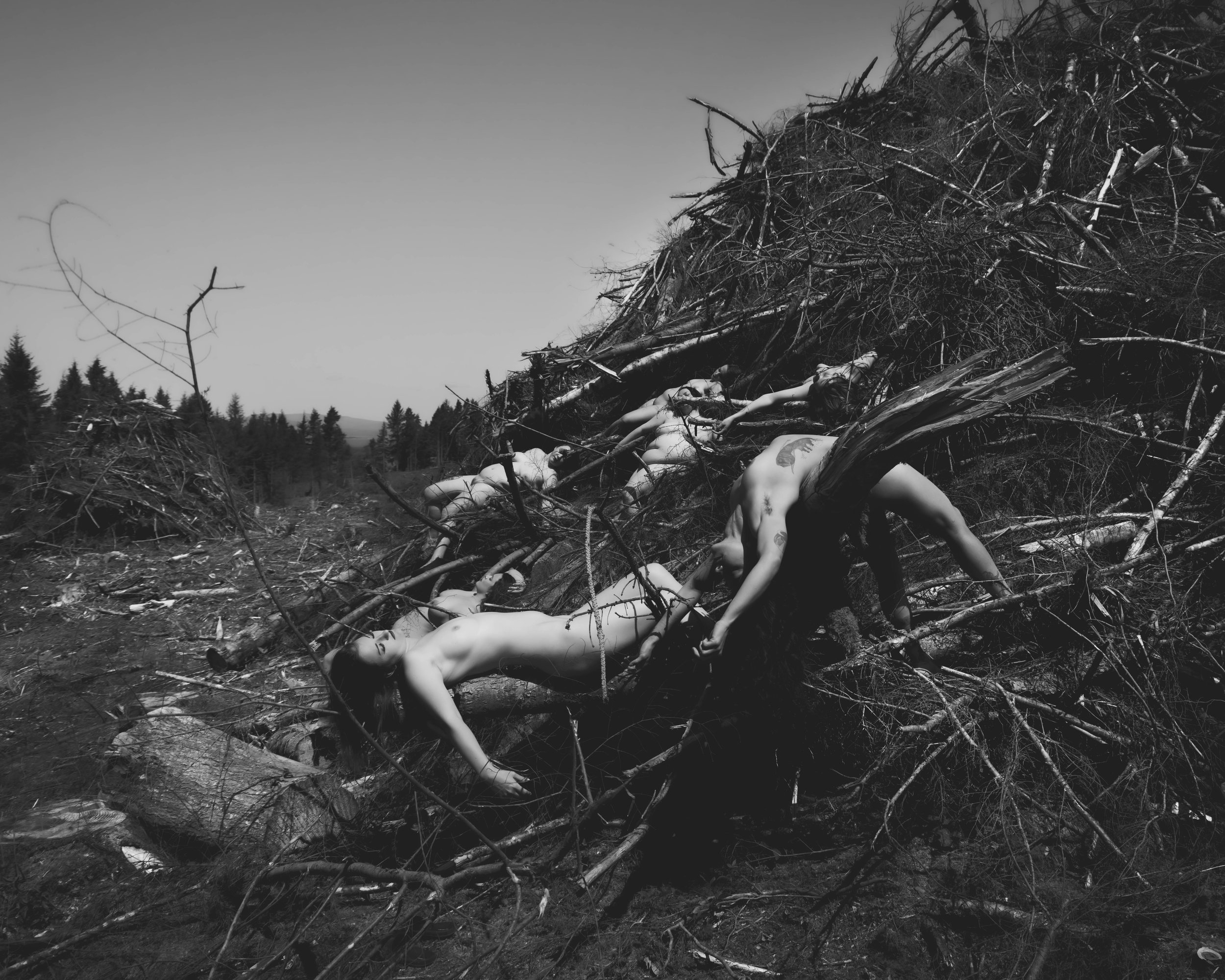 Barbedwire crown-23.jpg