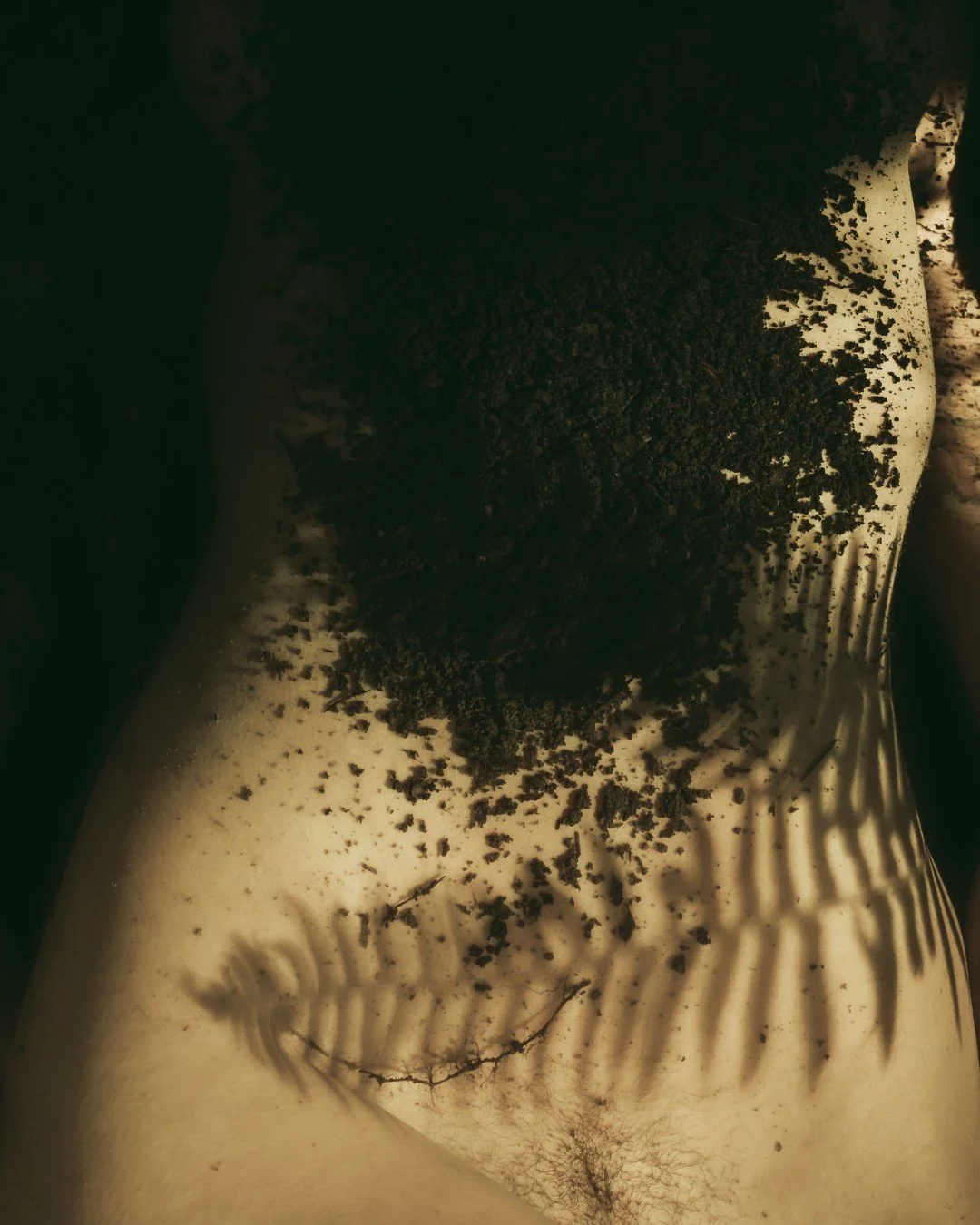 Emergence-23 (Large).JPG