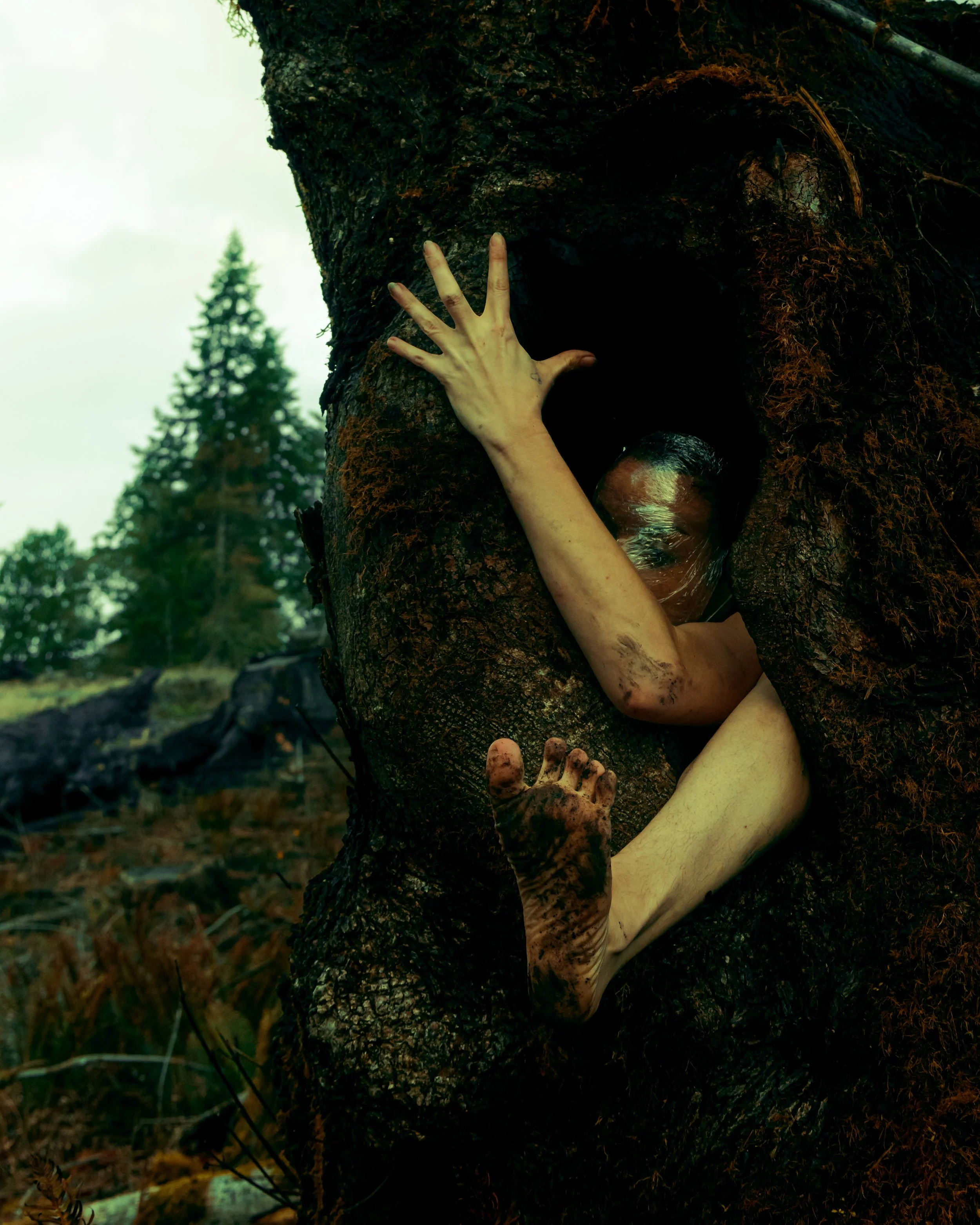 Saran Wrap Tree-25.jpg