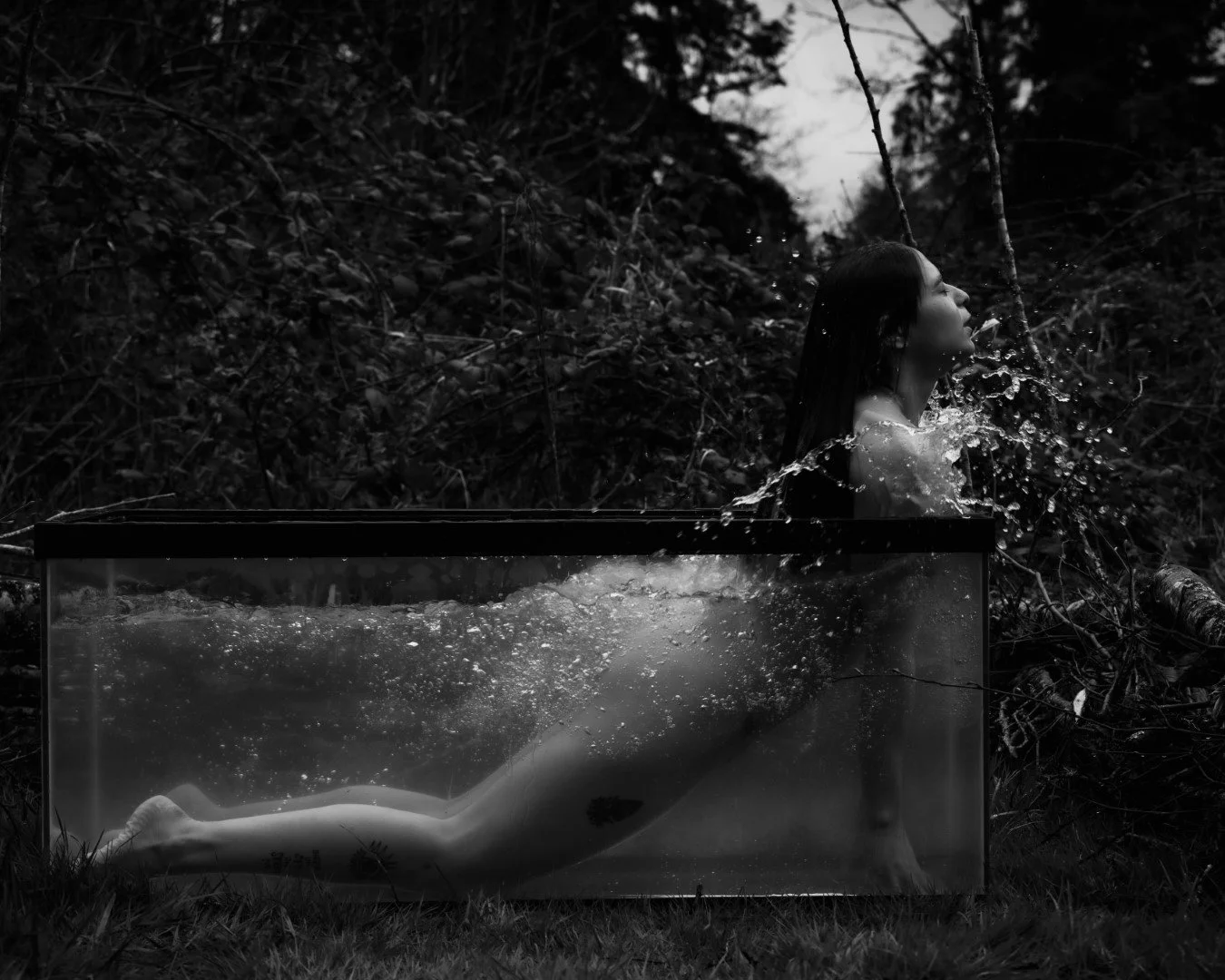 Shy Tank-53 (Large).JPG