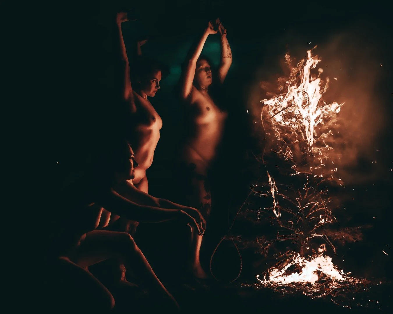 Beach Tree Fire-19 (Large).JPG