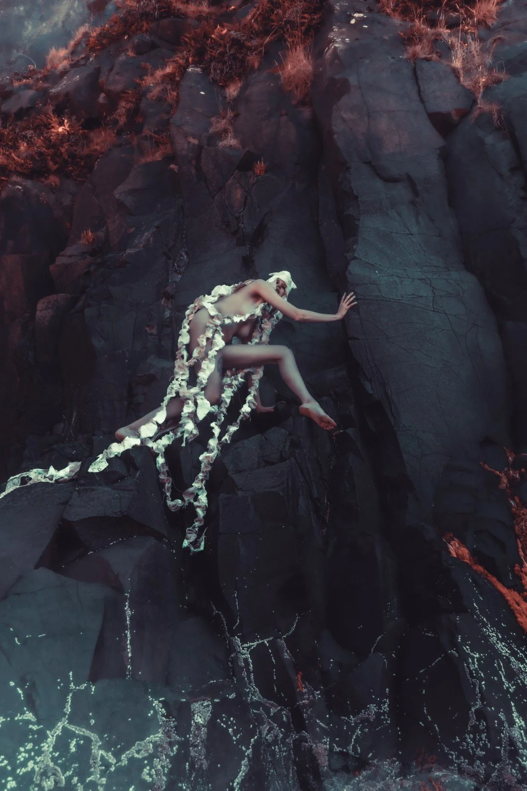 Squid beach-75 (Large).JPG