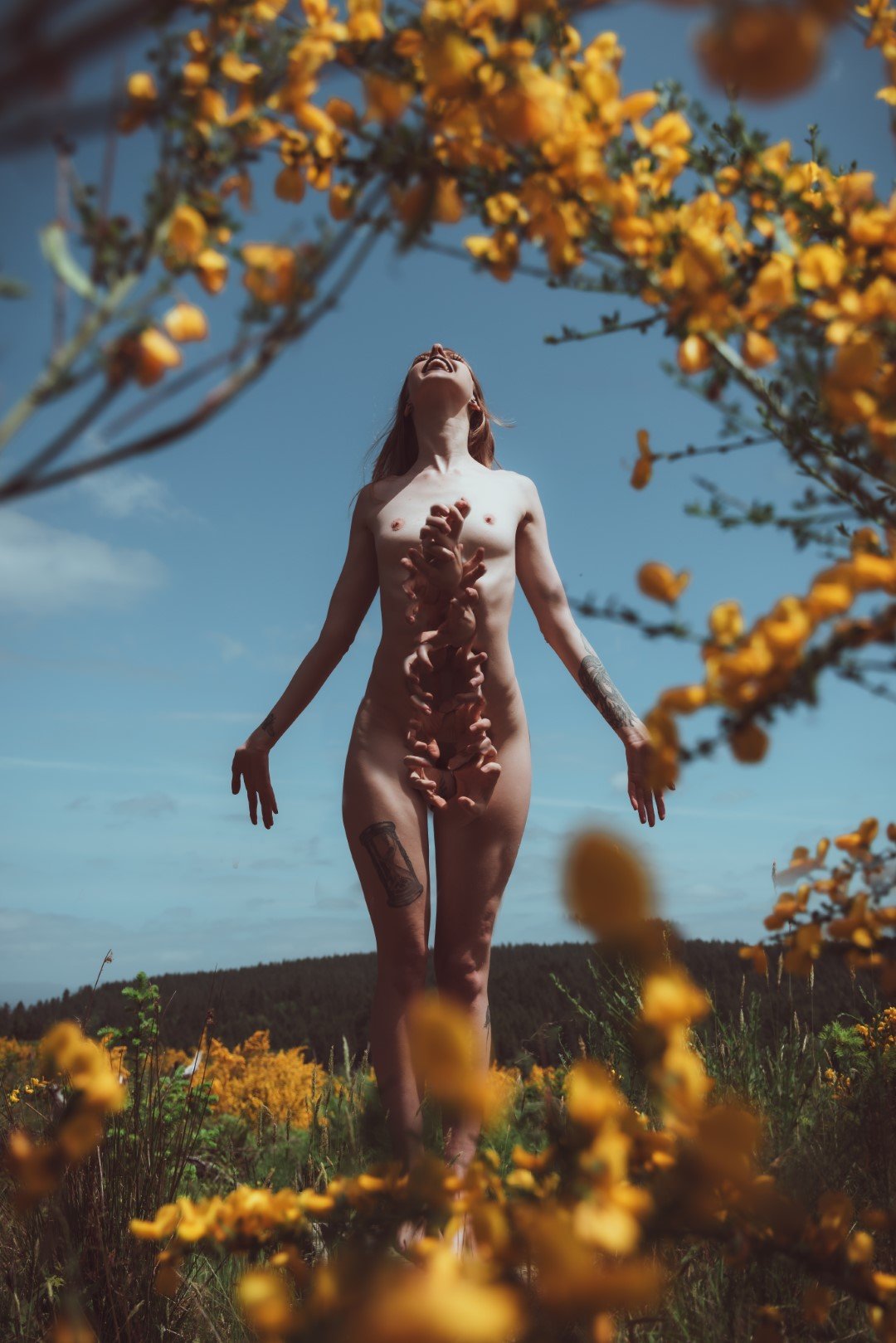 morphed-8 (Large).JPG