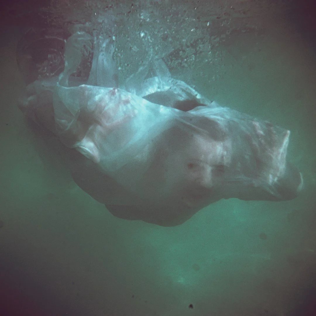 oct 3 pool-124 (Large).JPG