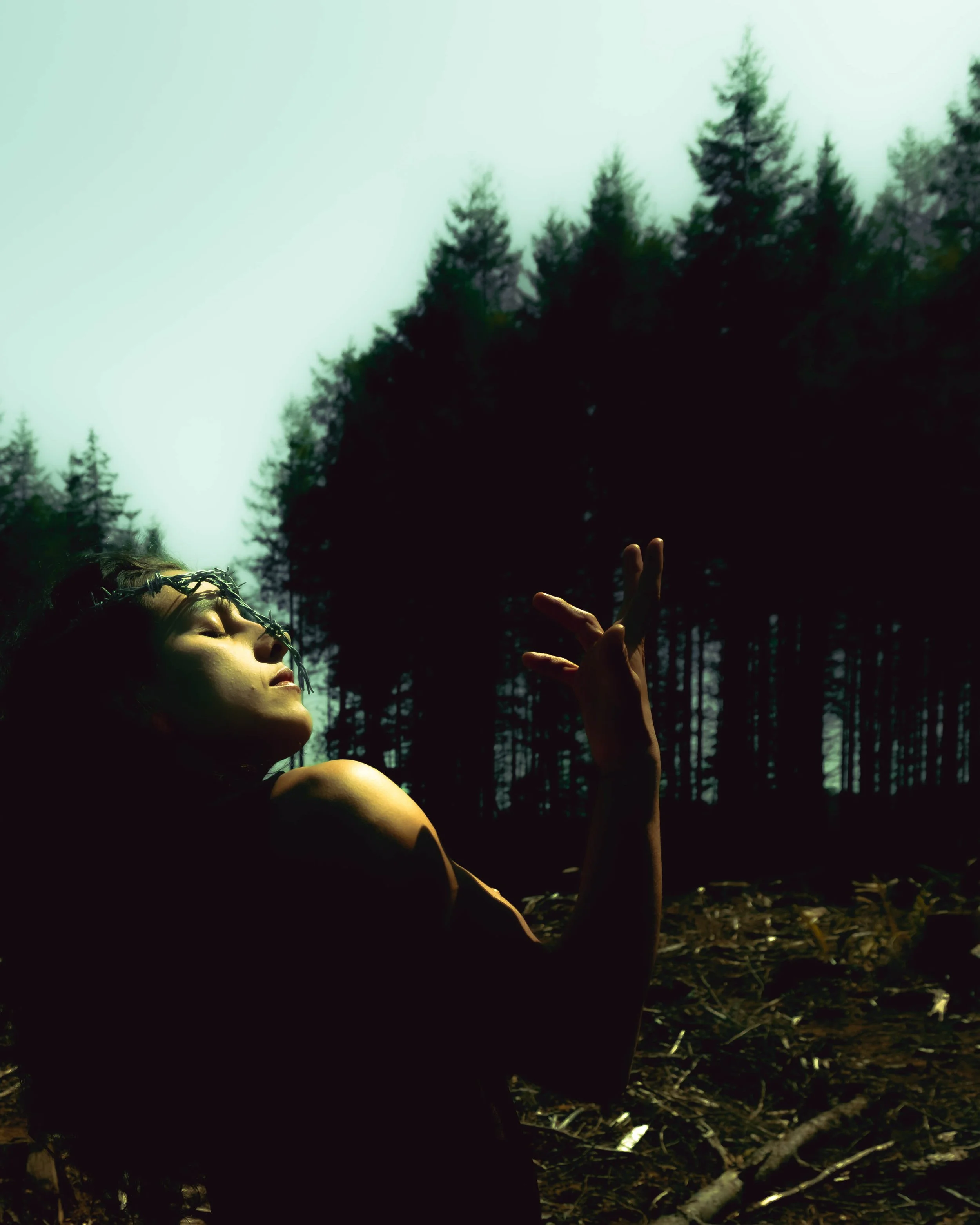 Barbedwire crown-6.jpg