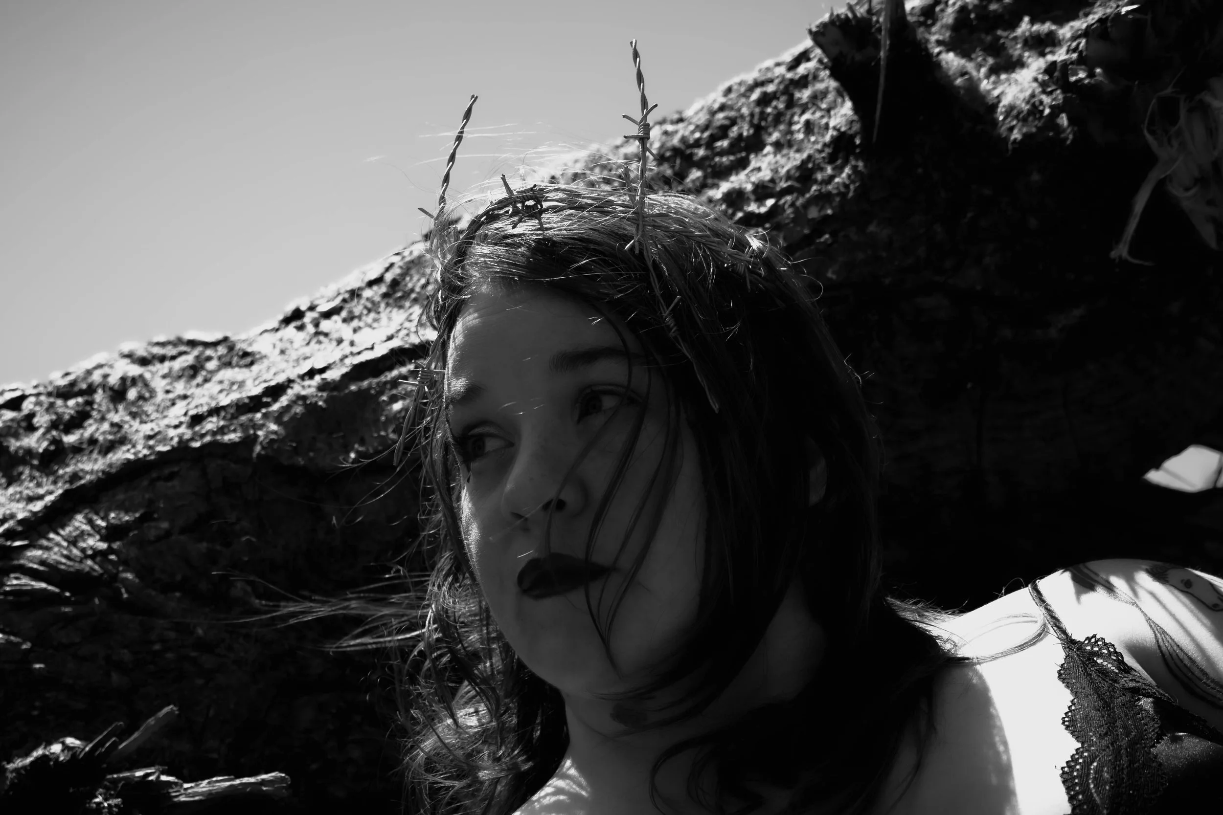 Barbedwire crown-48.jpg