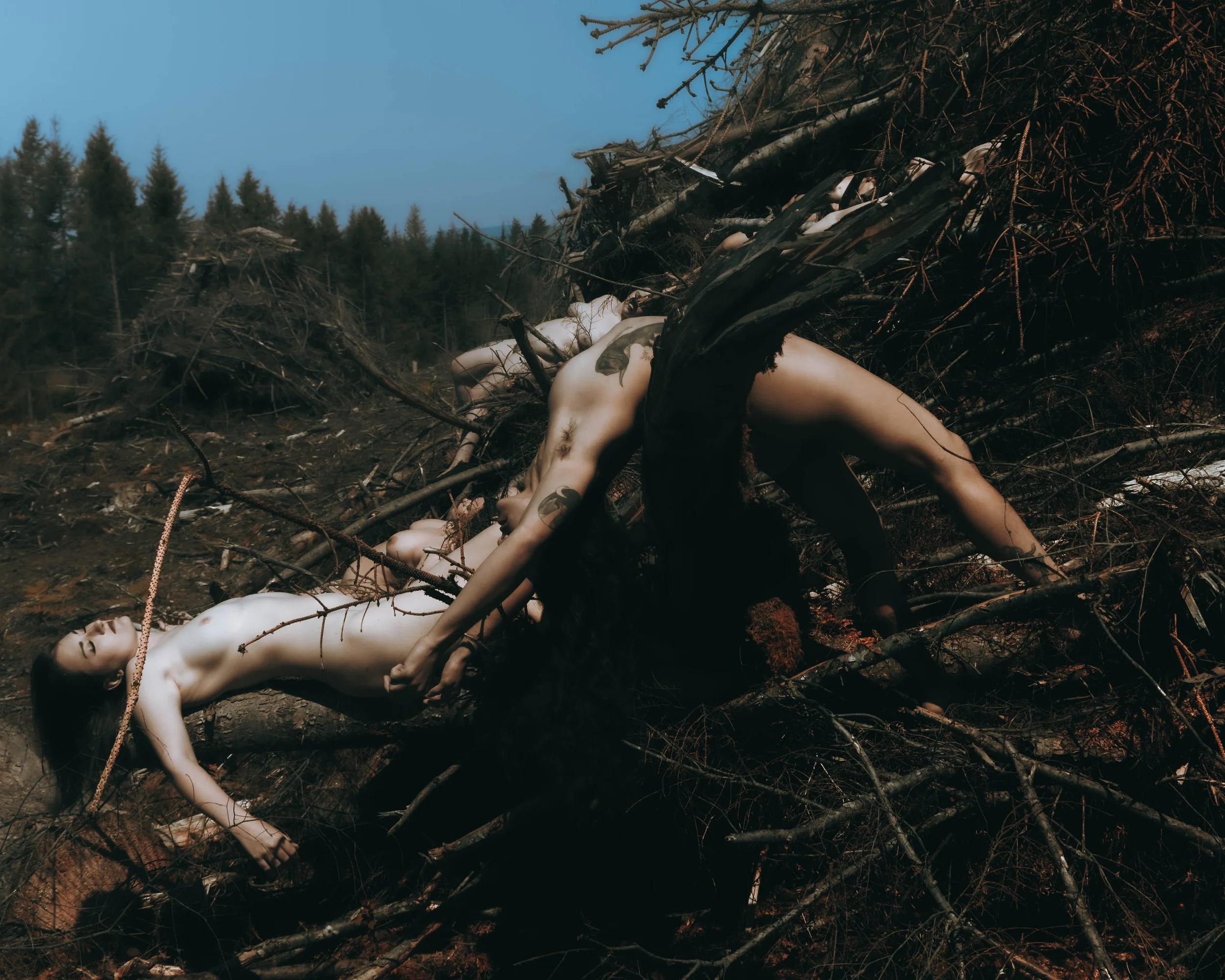 Barbedwire crown-24.jpg